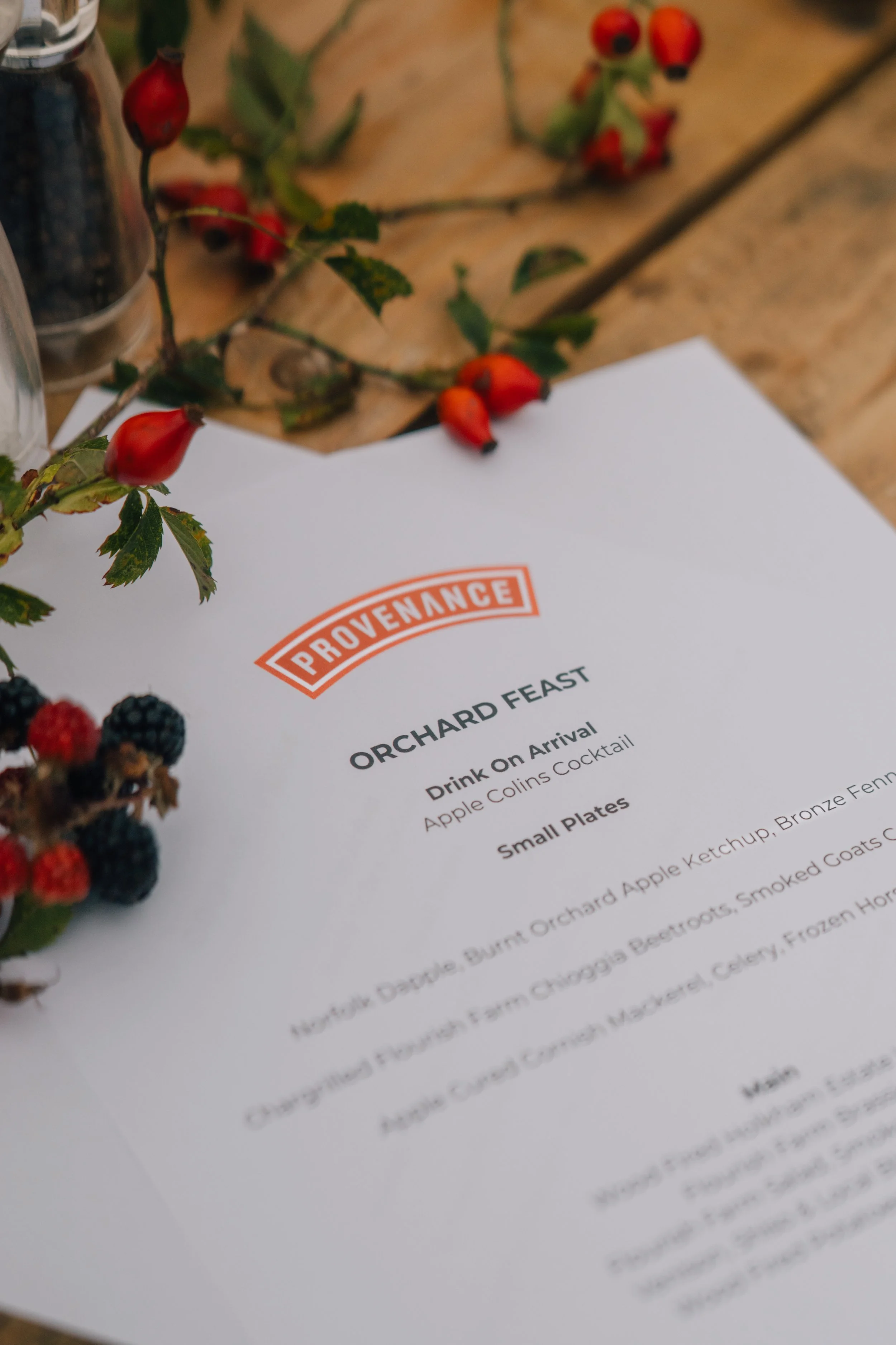A menu titled 'Provenance' with a header 'Orchard Feast,' listing drinks and food. The menu is on a wooden table with berries and leaves around it, with a metal salt shaker partially visible.
