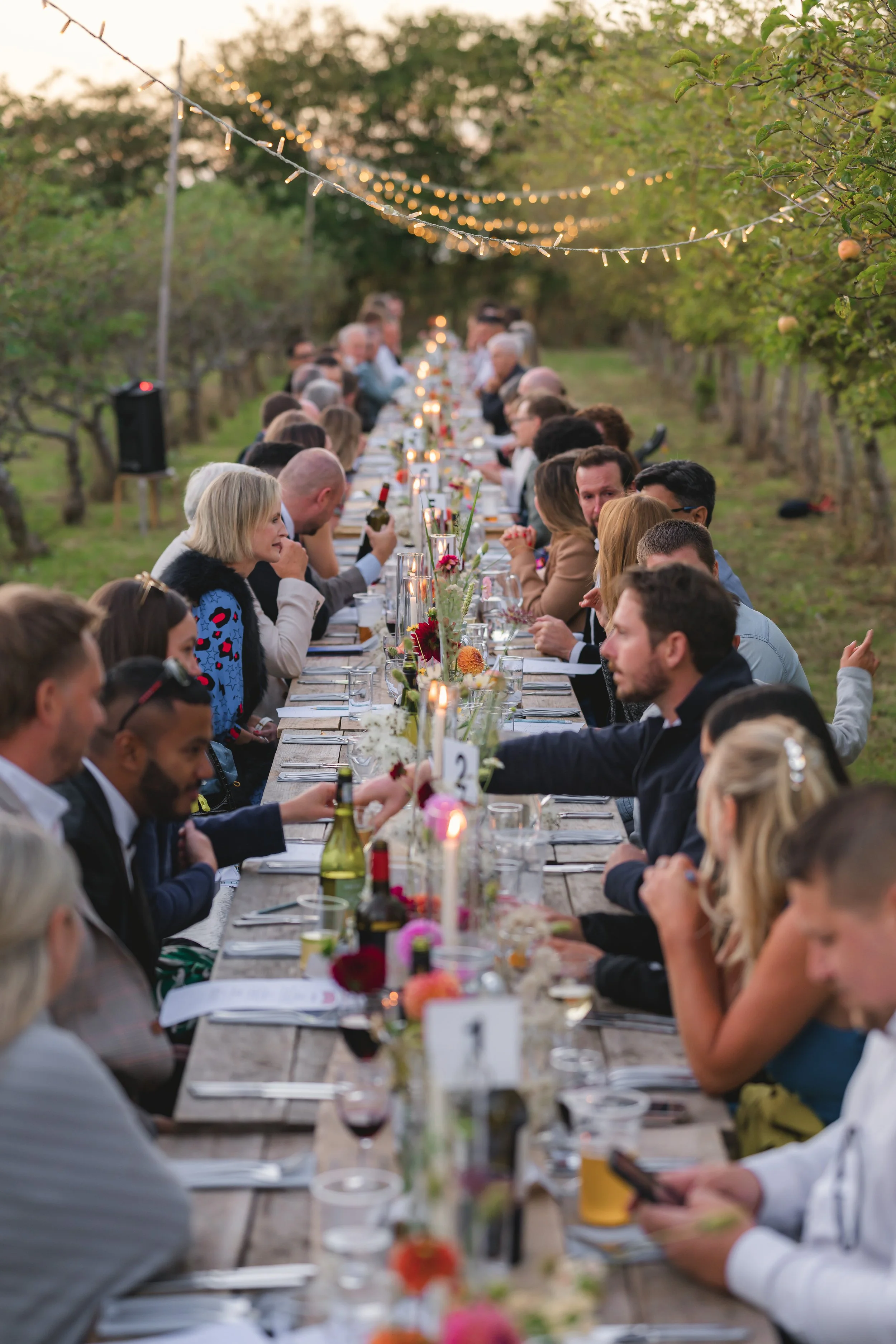 A long outdoor dining table set for a gathering or celebration, decorated with candles and flowers, with many people seated and engaged in conversations, under string lights in a garden or orchard setting during sunset.