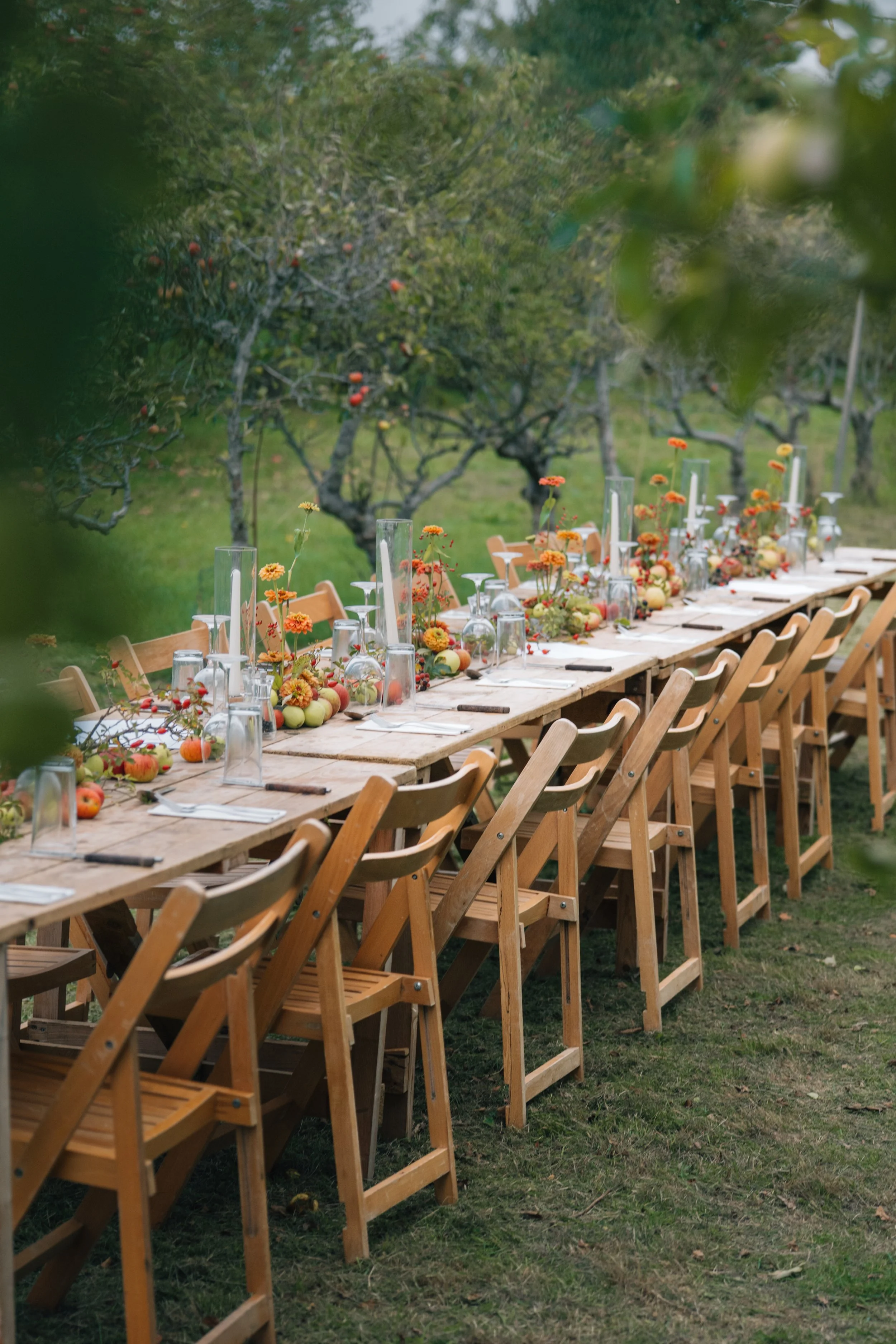 Outdoor dining table set for a gathering in an orchard, decorated with fall flowers, candles, and small pumpkins.