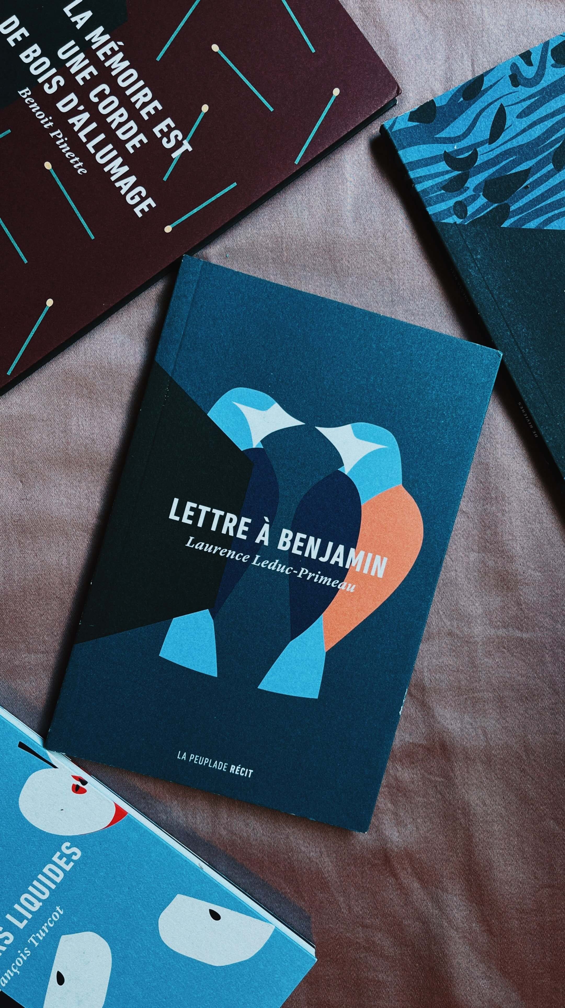 Bird-themed book cover art for La Peuplade, illustrating the story's themes through Mezclao Studio's lens