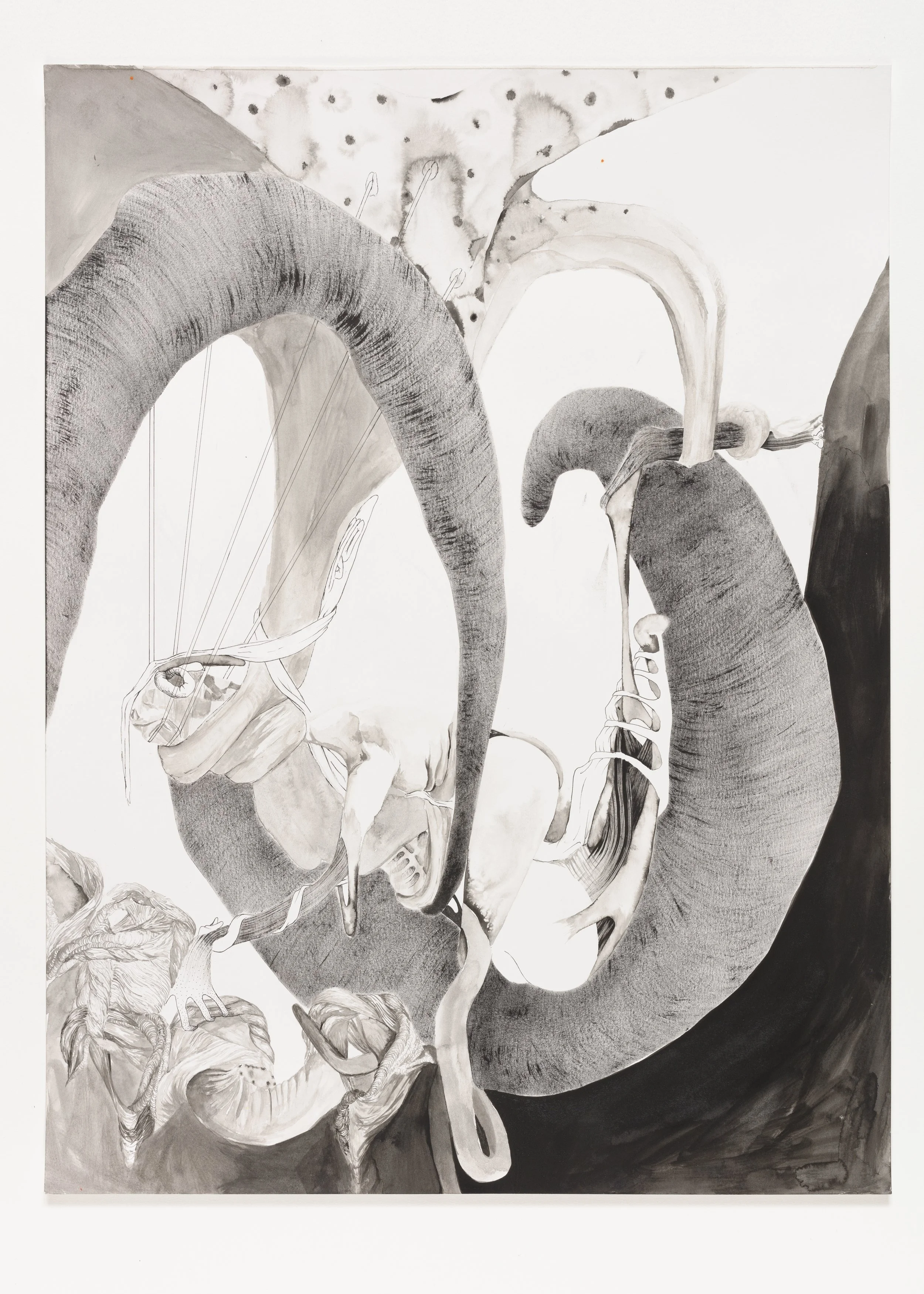  Trismus , 2023, 24 x 18 in.