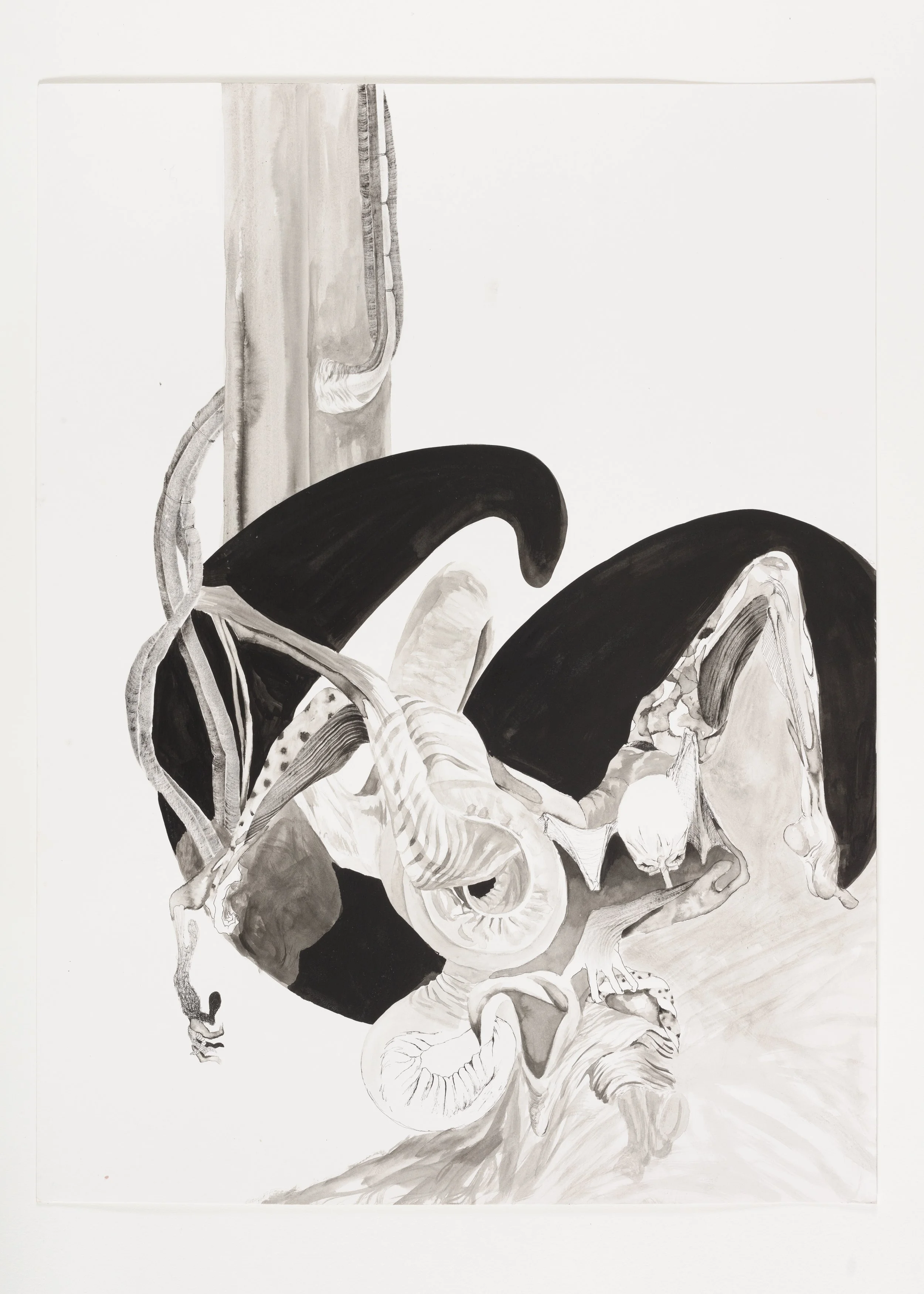  The Hyphal Tip , 2023, 24 x 18 in.