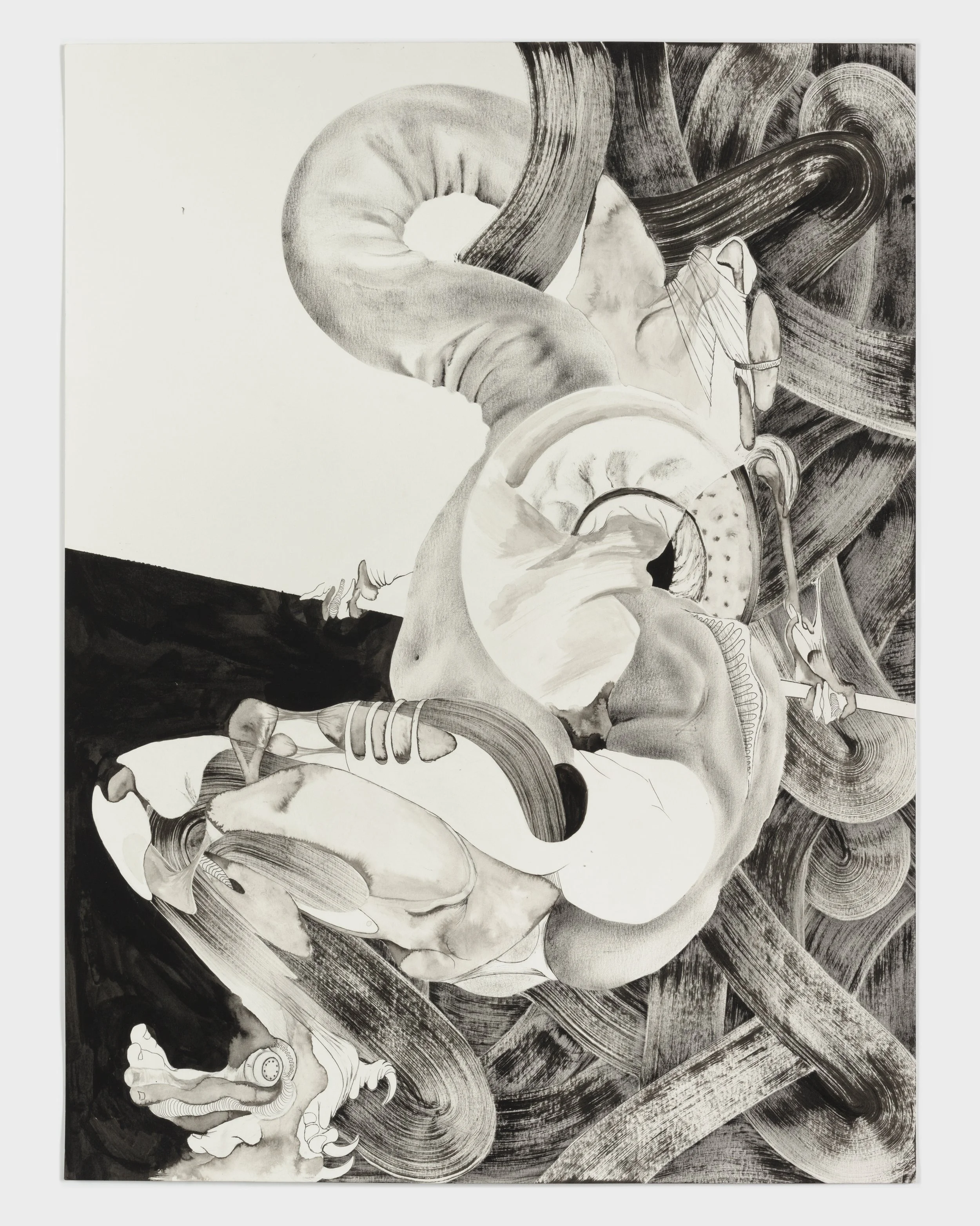  In the Shape of Nothing , 2024