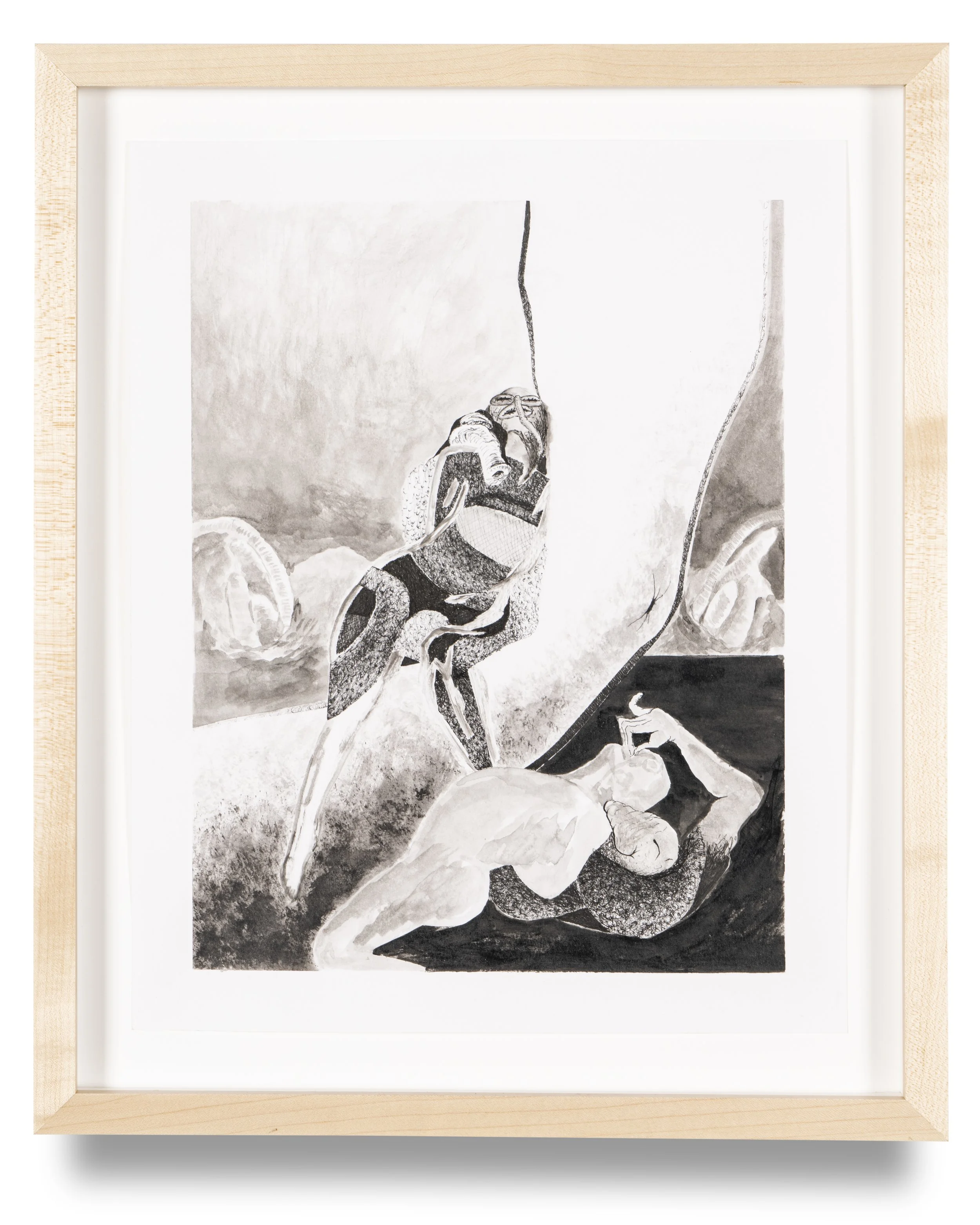  Tropical Niche , 2021