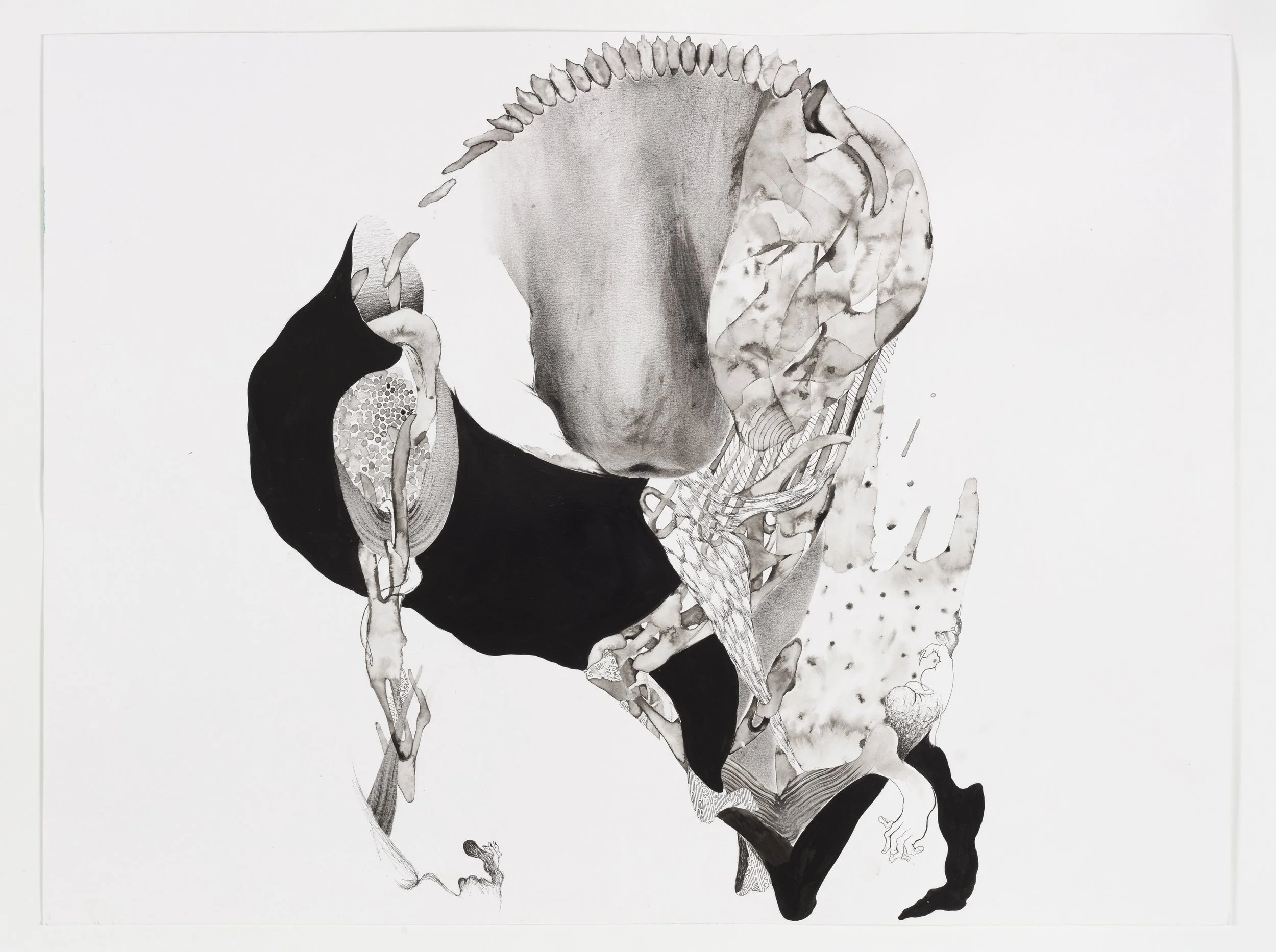  We Were Promised a Fat One , 2023