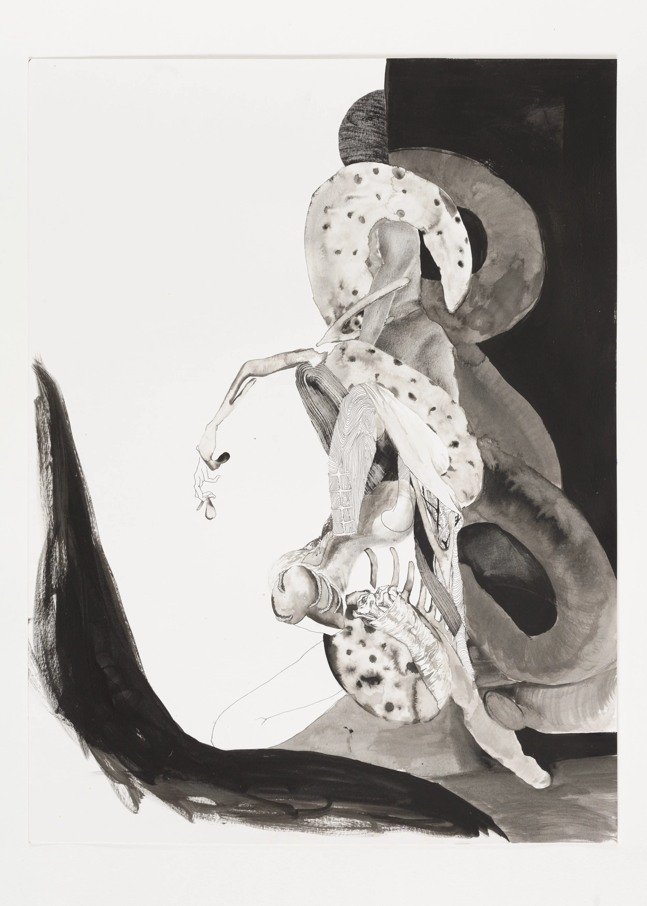  Thirty Seven Counts , 2023