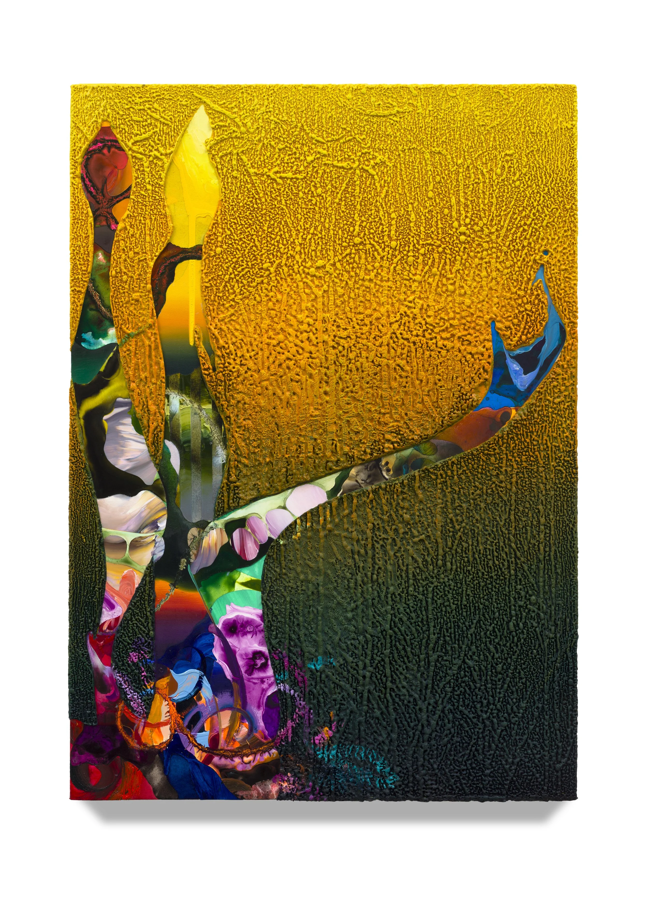 IS_25_09_29_010_LO_RES (1).jpg