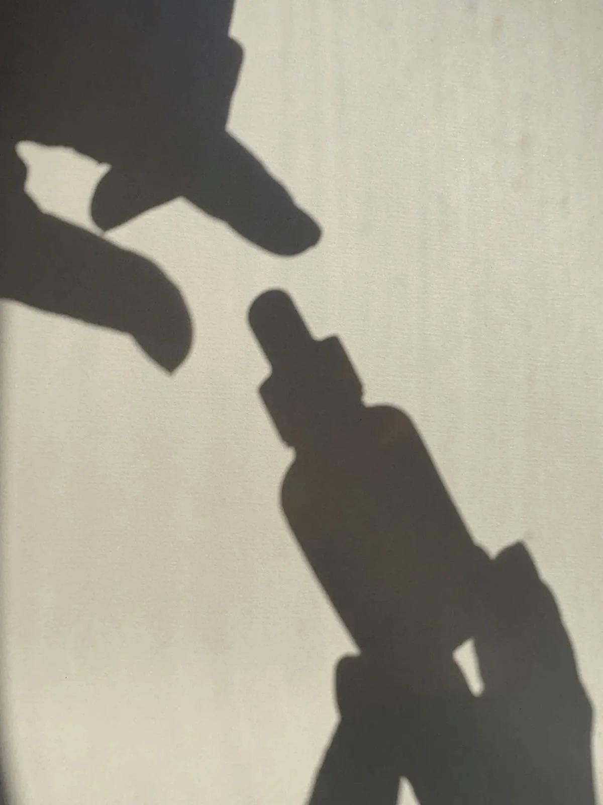 The Skin Blueprint | Reset