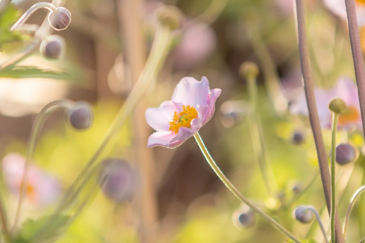 The touch of a loved one