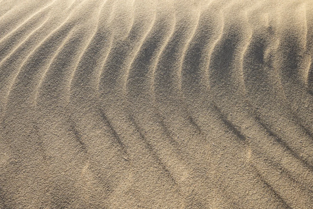 Until the end of time, we will wait for you.