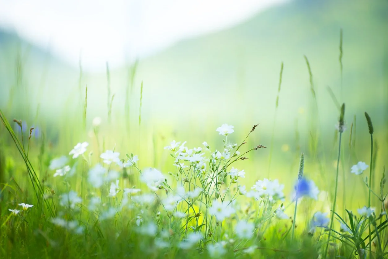 A deeper fuller Love