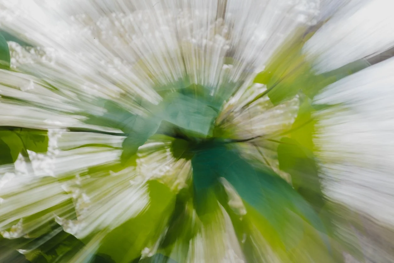 The spark of God that you are
