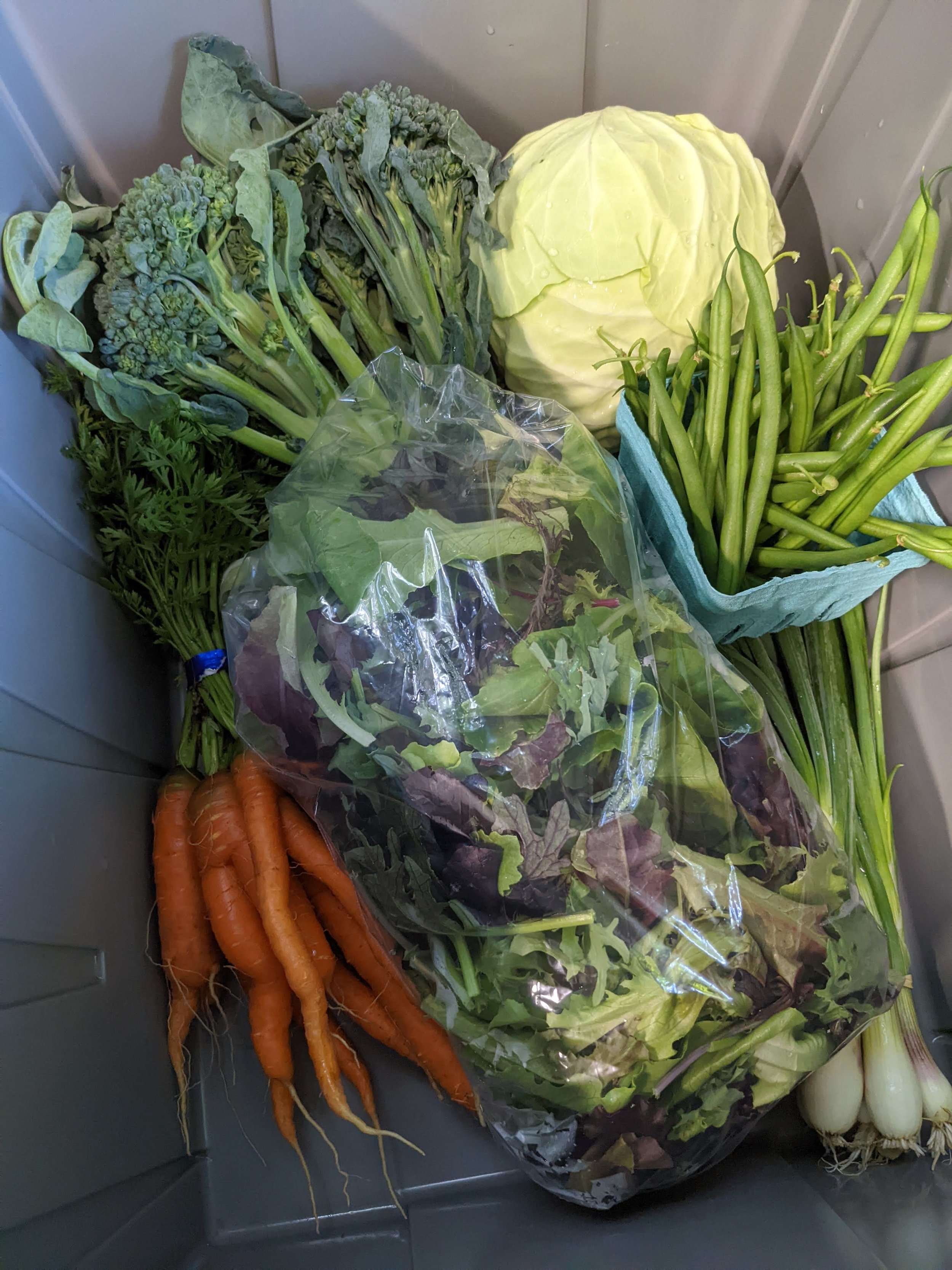 PXL_20220727_234232440.MP (1).jpeg