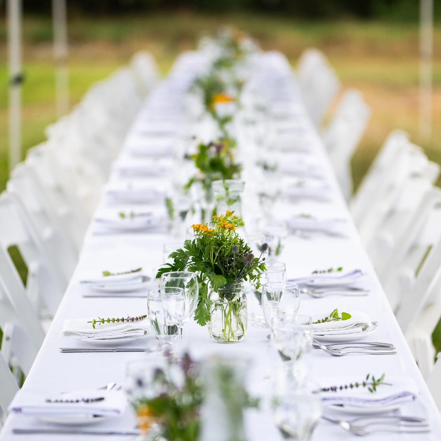 Here are a few more photos from our farm to table dinner.  It&rsquo;s still hard to believe it&rsquo;s over.  It was such a magical night.  Aimee and I were already scheming on next years dinner. 😆  @planted_pt 

Thanks Sarah for sending along a sne