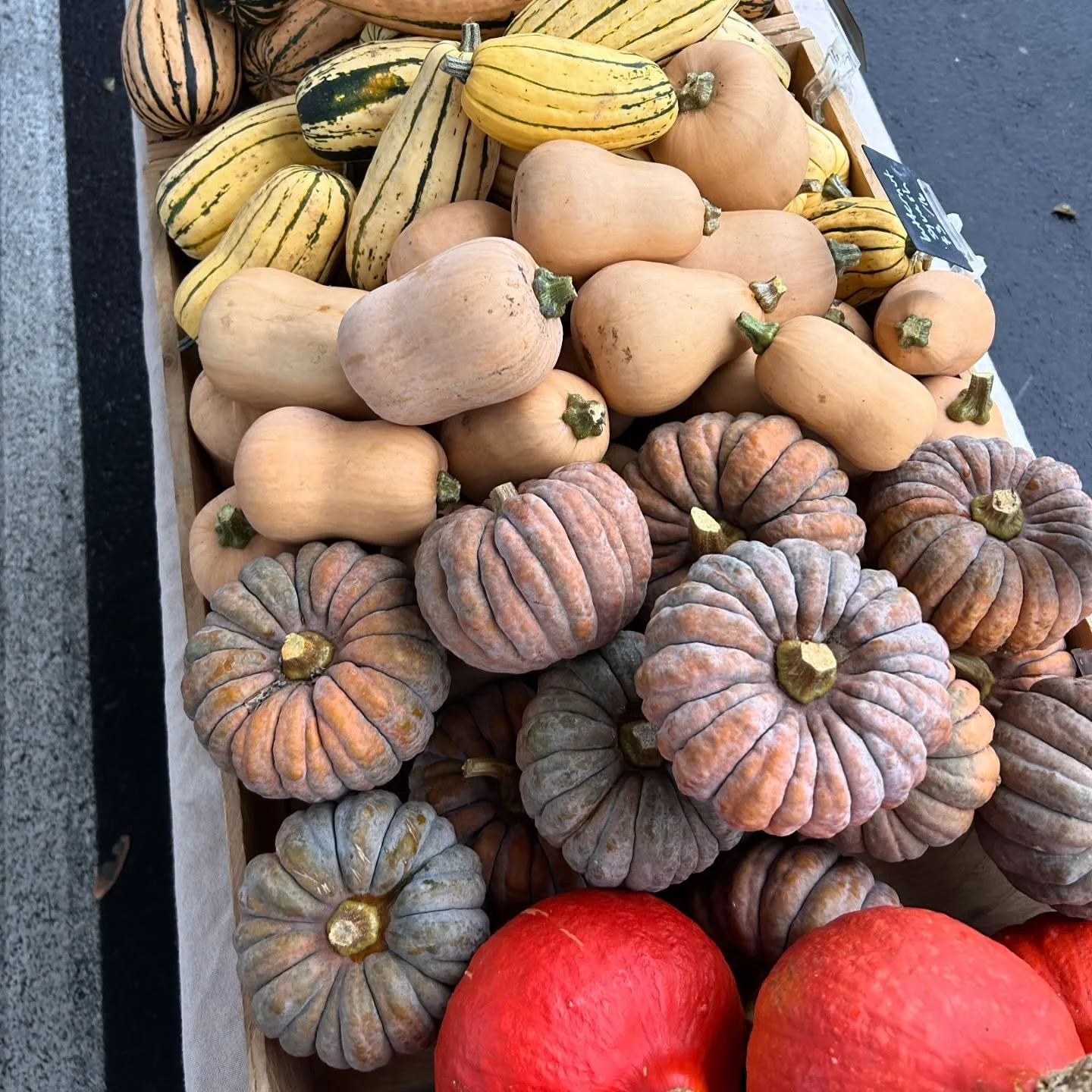 One of my favorite parts of my job is building produce displays.  Naomi and I really hit it out of the park on this one. 

Hope to see you next week! 
10-2 Uptown PT 
Note winter hours - we&rsquo;re open one hour later than past weeks. 

And if you a