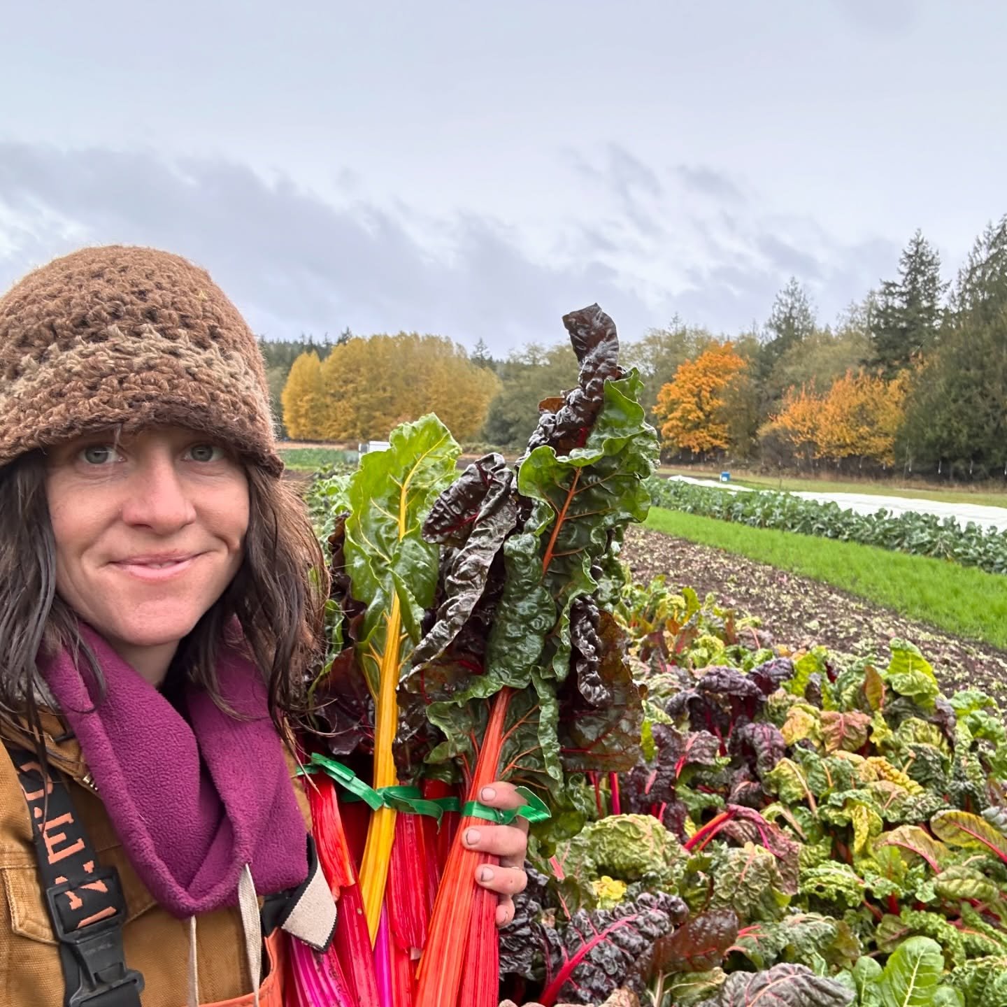 Feeling grateful!  It&rsquo;s been such a big year. (My next thought is will it ever not feel like a big year?)

I am continually shocked to see how far we have come in such a short time.  Major emphasis on the we. 

Chimalow started as my vision but