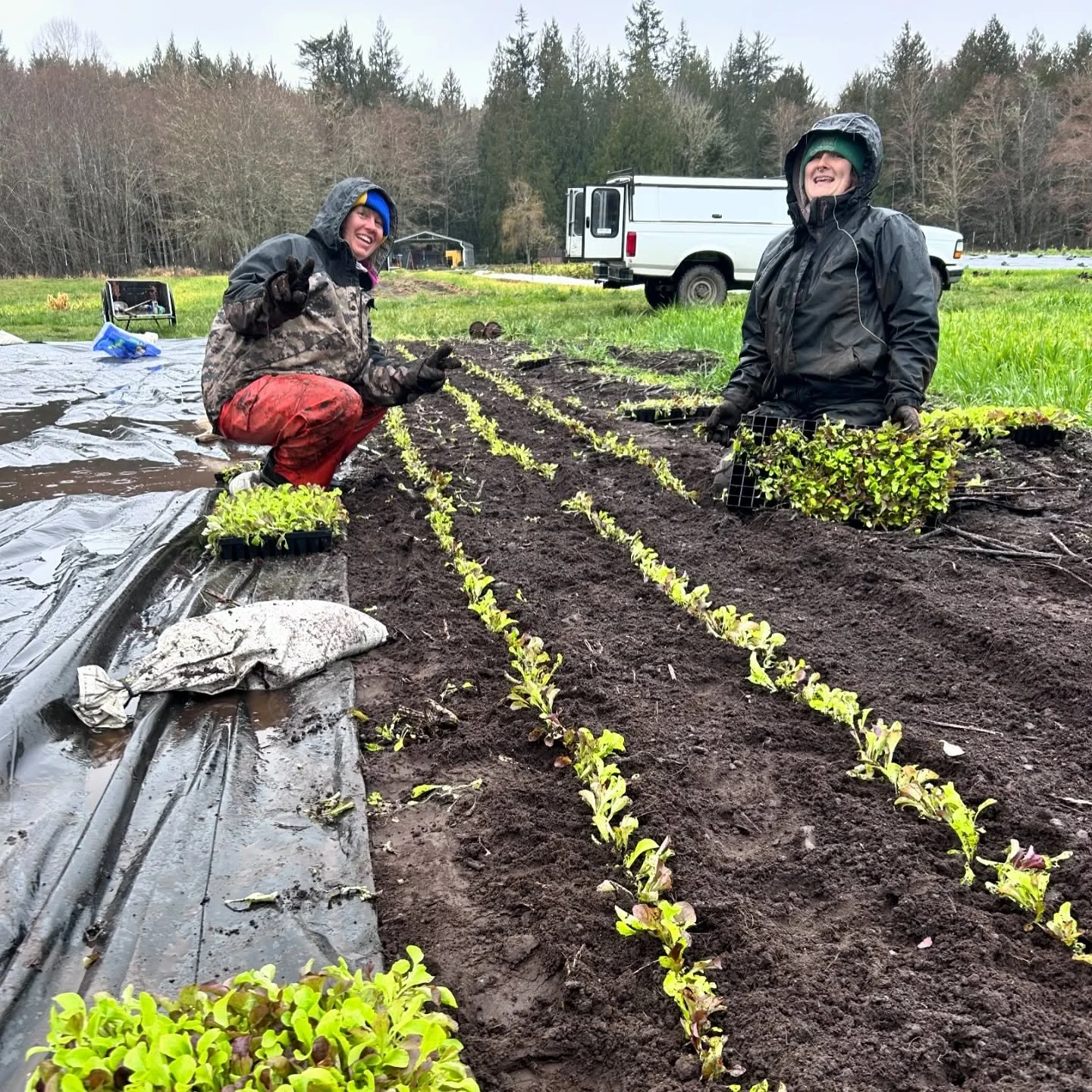 I&rsquo;m grateful for the women I farm with! 

Spring has definitely sprung and we are getting after it the best we can. 

#internationalwomensday