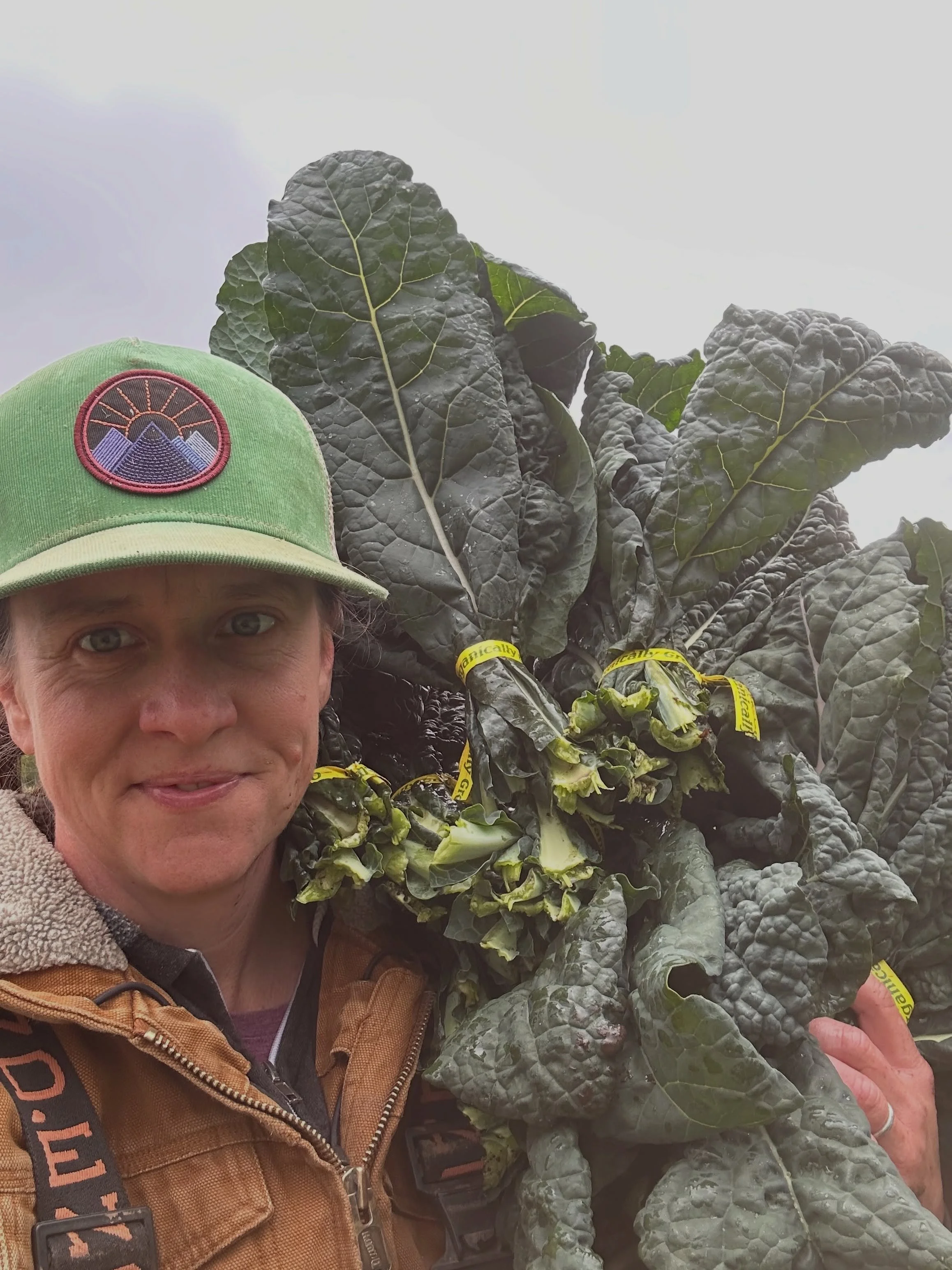 One of the many ways you can support our farm and many neighboring farms is by supporting the farm to food bank fund. 

Money donated to them will directly turn into more purchasing power for the food banks to buy local.  We are so grateful for this 