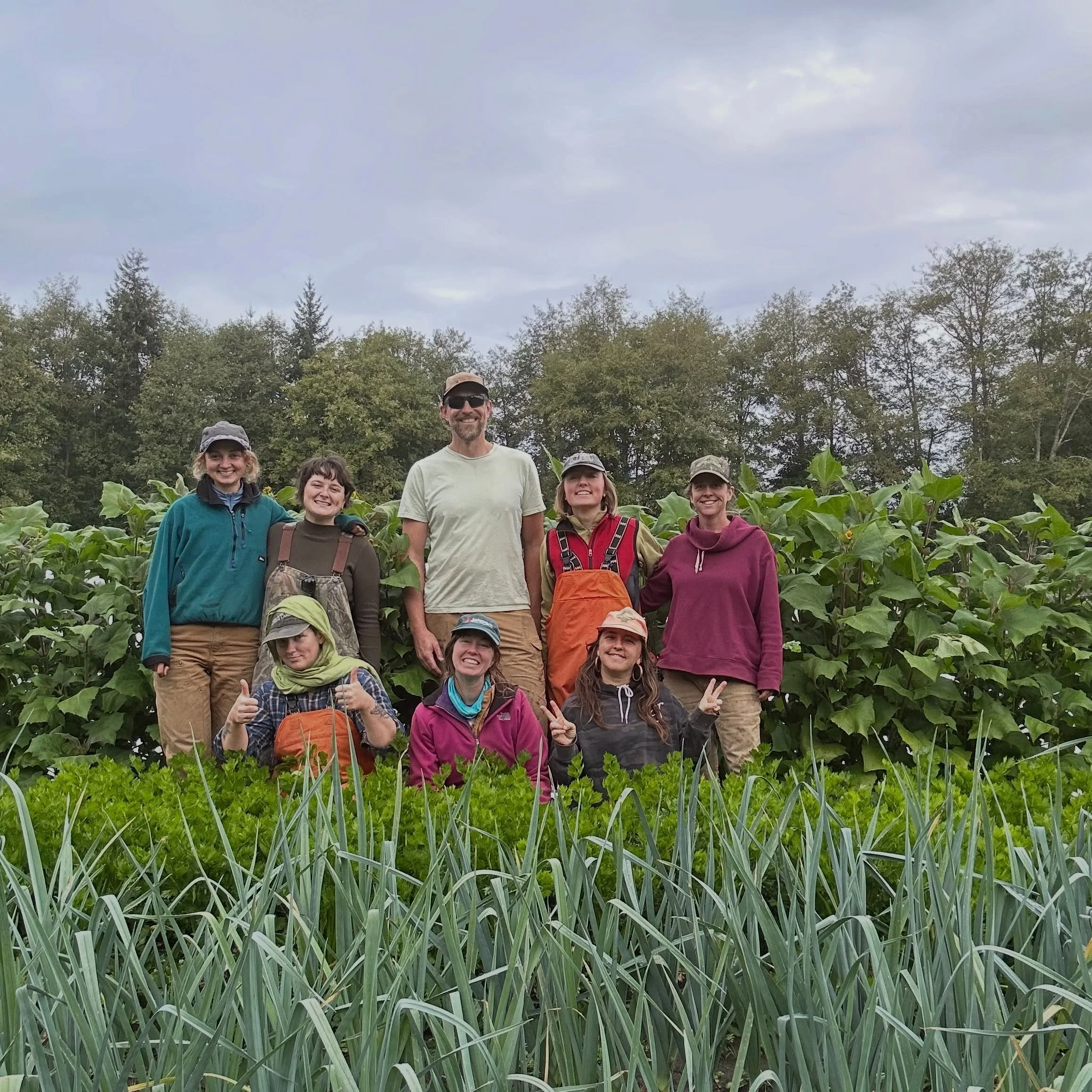 Photos from the last week of September!  Such a bountiful time of year. 

We wrapped out the last Wednesday market of the season (maybe last one ever?), packed our last CSA boxes, our final peak on broccolini (thank you food bank for picking up the e