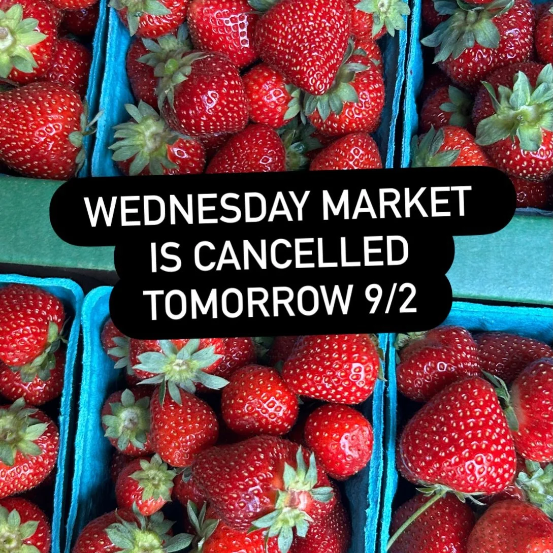 Find our strawberries tomorrow (Wednesday) @nordlandgeneralstorecoop and @chimacumcorner. 

Wednesday market was canceled due to wind gusts predicted to hit of 40 mph.  Not the best weather to set up a tent in. 

Wednesday markets will be back 9/9.  
