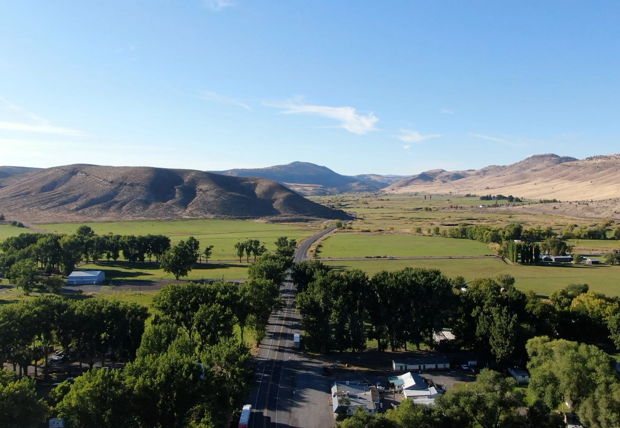 Sale Day — Ranchers Horse Sale