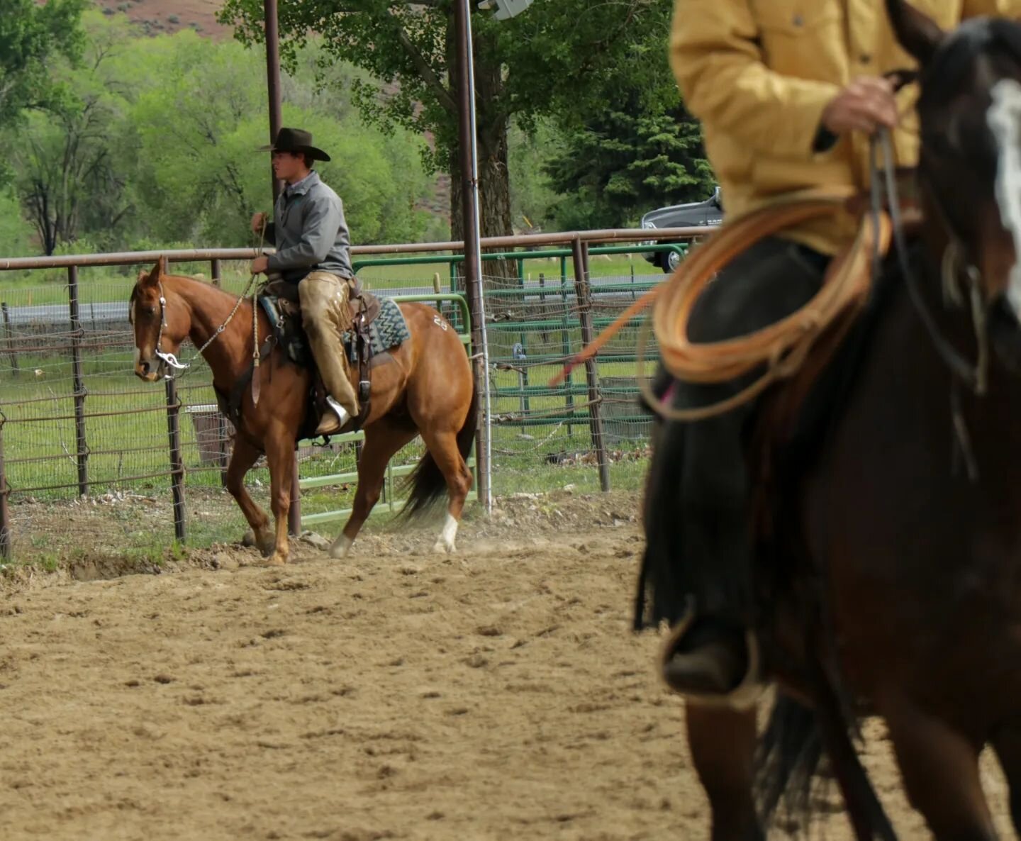 The 2022 Mike Bentz Memorial Top Horse Award went to JAKE {Lot 28} consigned by Nathan Joyce. This award was created in memory of Mike and is based on what he considered an &quot;ideal ranch horse&quot;. Congratulations to Nathan - the Bentz family i