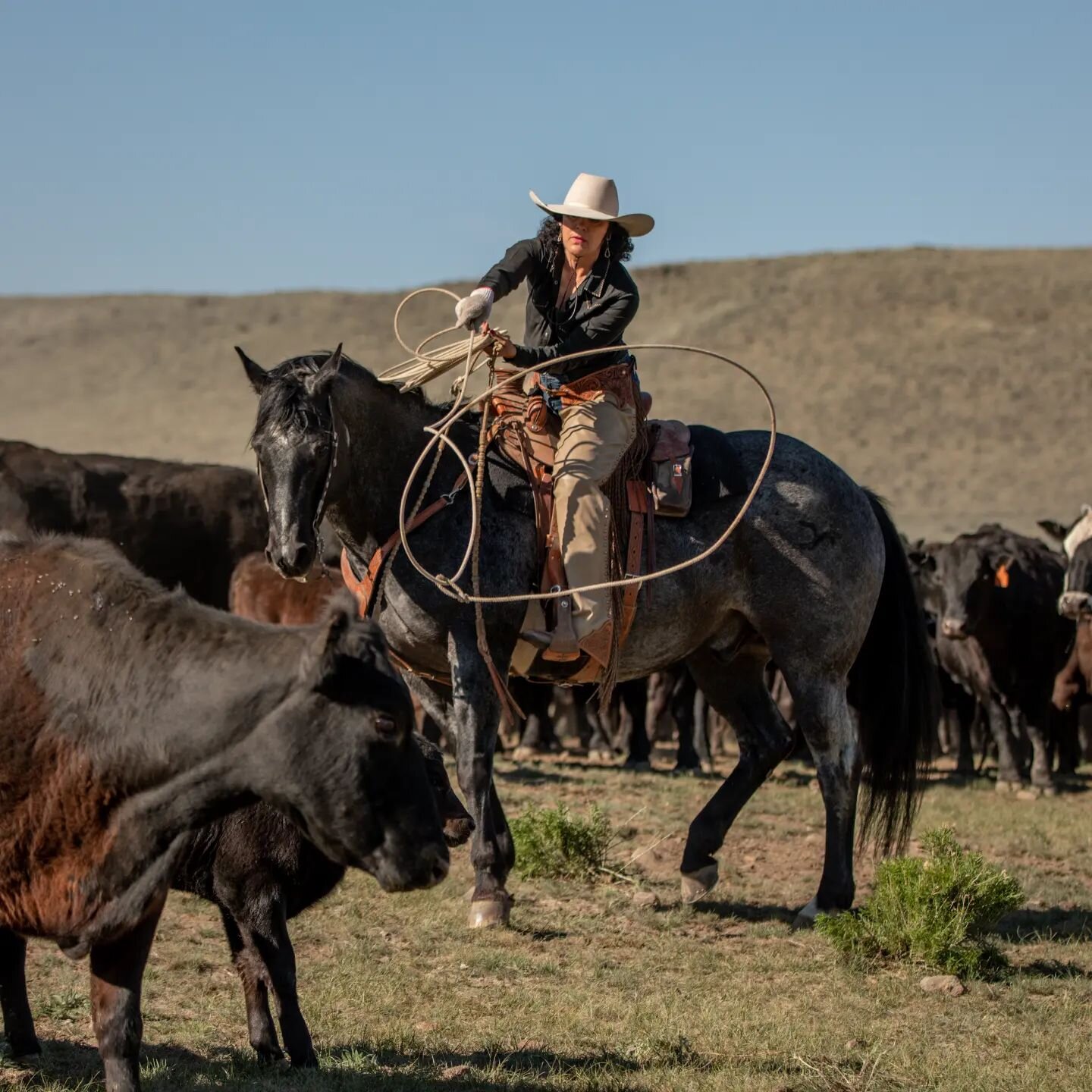 The Cowboy Way // The @westernhorseman interviewed Linda Bentz for the article &quot;The Cowboy Way&quot; in the latest edition. The story breaks down the differences and similarities in ranching across the country and  features beautiful photos by @
