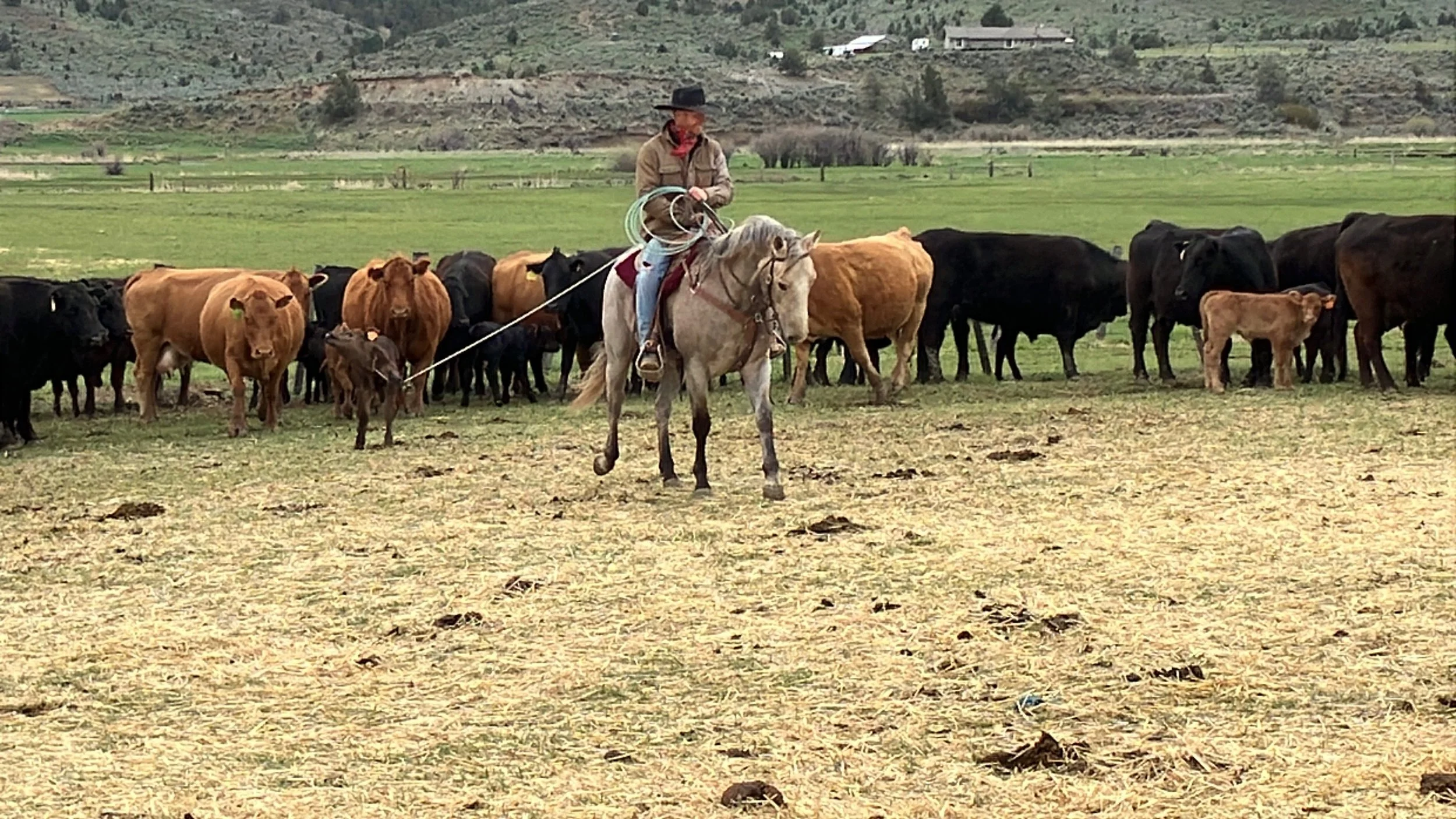 Catlin and Monique Martin - IMG_0901.jpeg