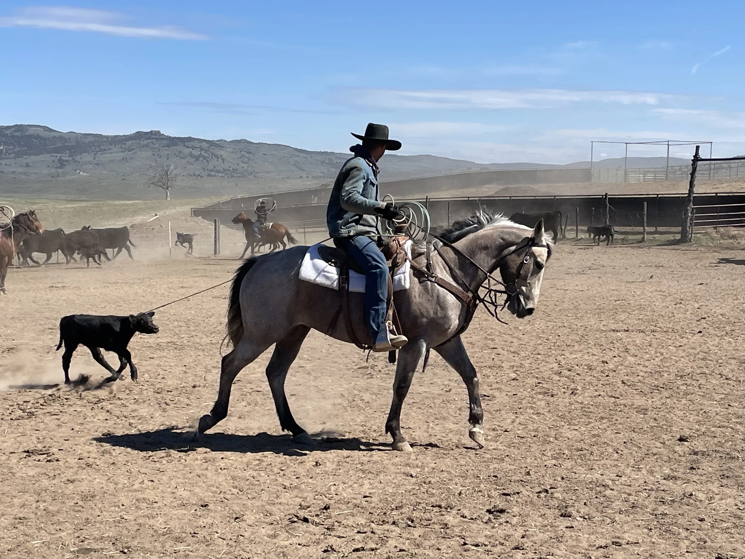 Catlin Martin - IMG_4957.jpeg