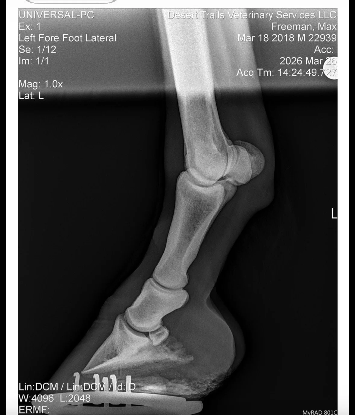 IMG_6145 Quincie Freeman.jpeg