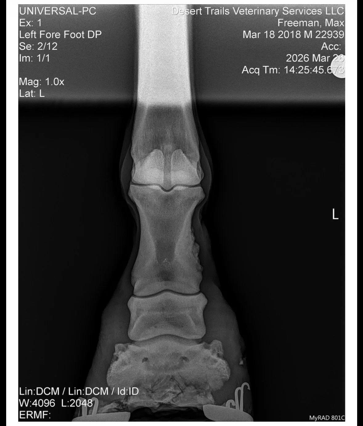 IMG_6146 Quincie Freeman.jpeg