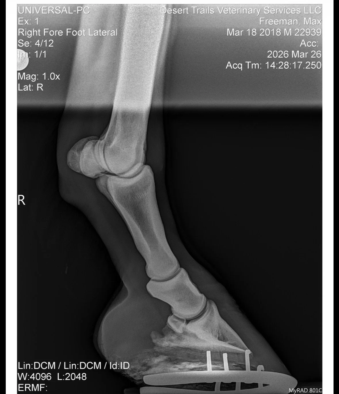 IMG_6147 Quincie Freeman.jpeg