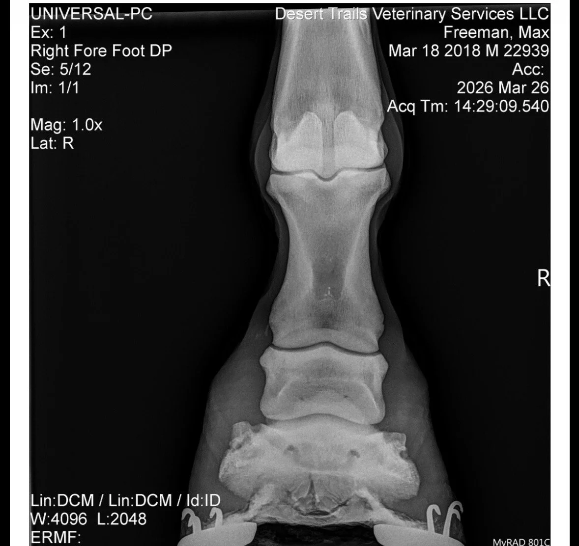 IMG_6148 Quincie Freeman.jpeg