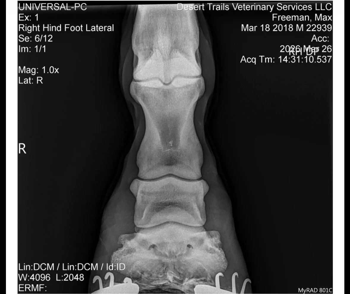 IMG_6149 Quincie Freeman.jpeg
