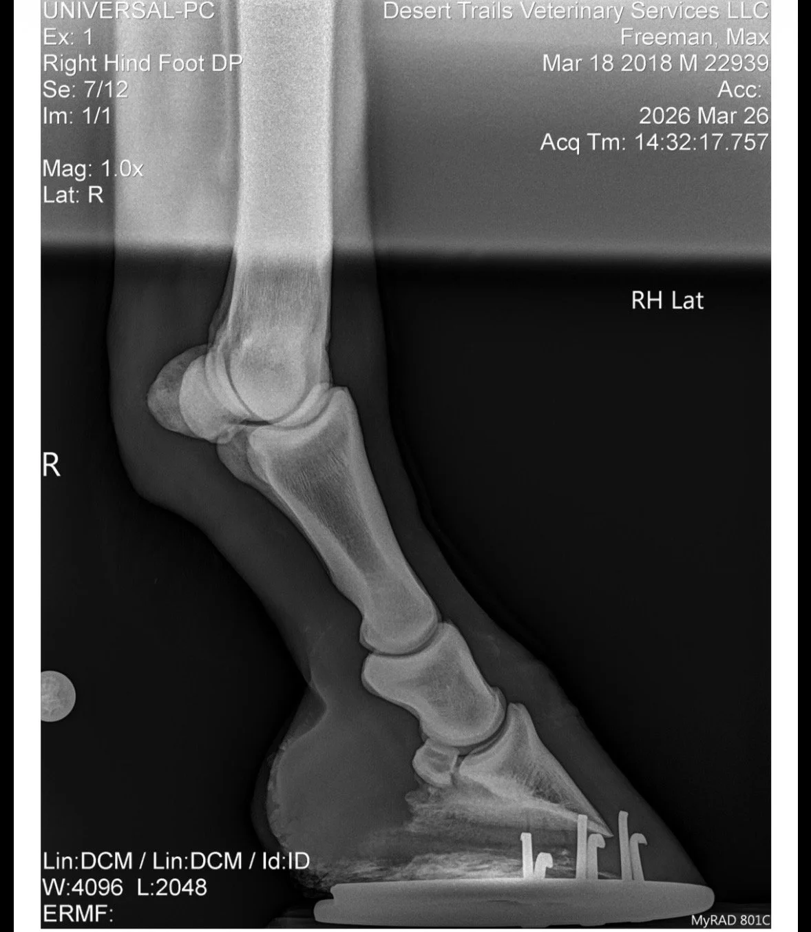 IMG_6150 Quincie Freeman.jpeg
