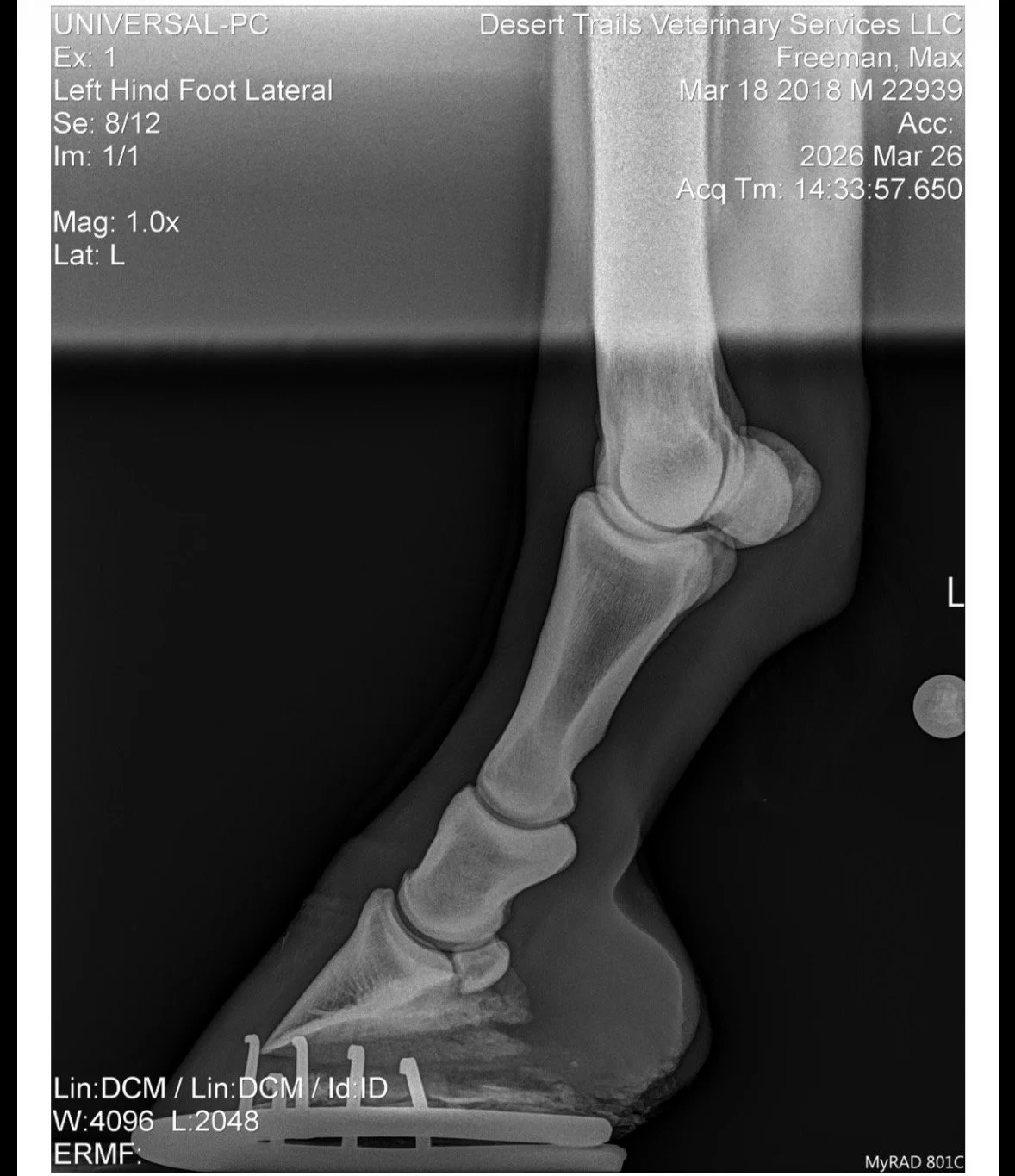 IMG_6151 Quincie Freeman.jpeg