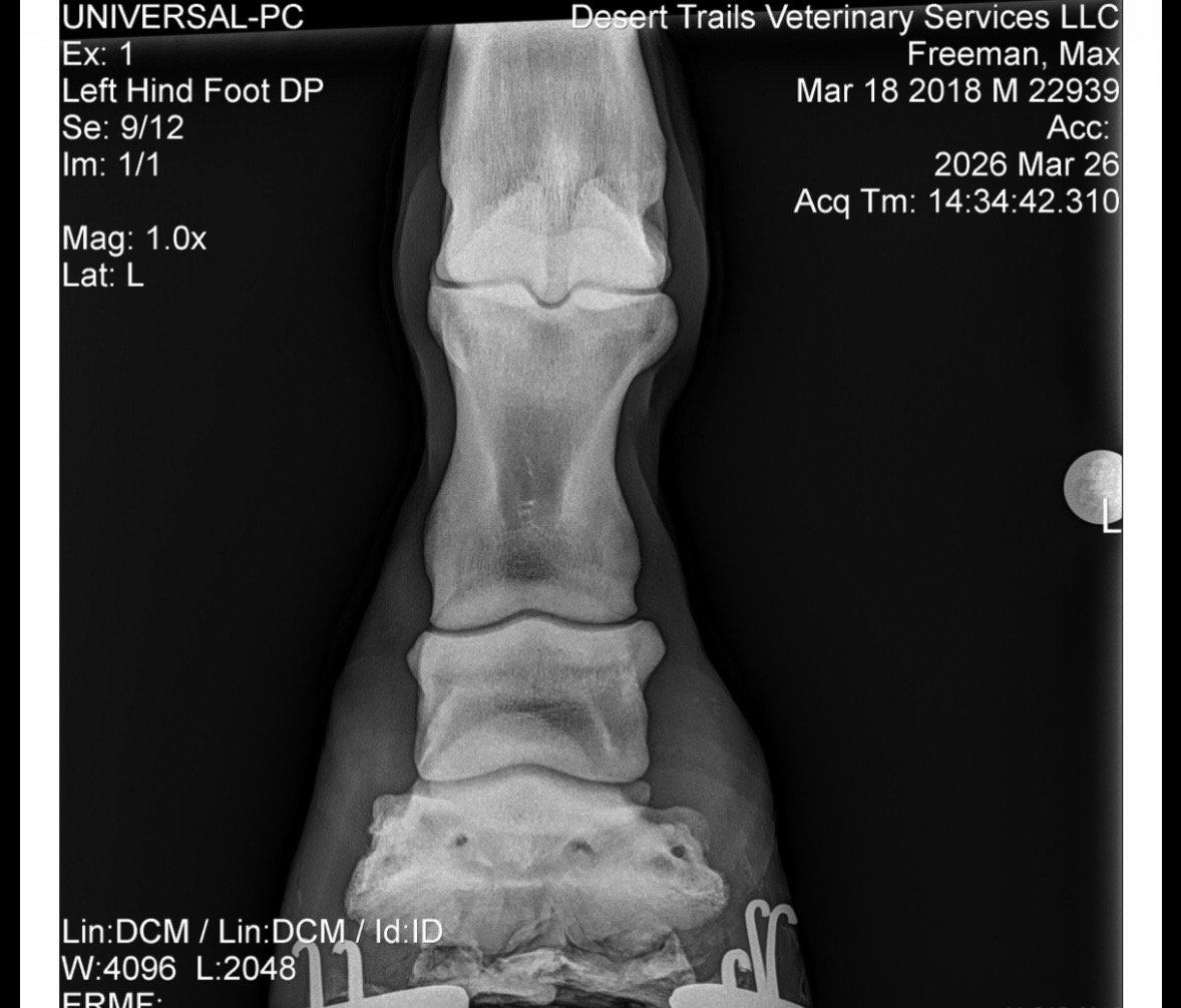 IMG_6152 Quincie Freeman.jpeg