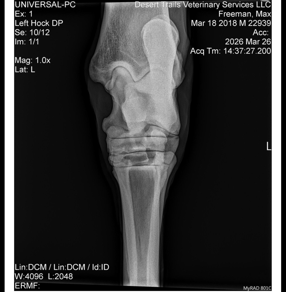 IMG_6153 Quincie Freeman.jpeg