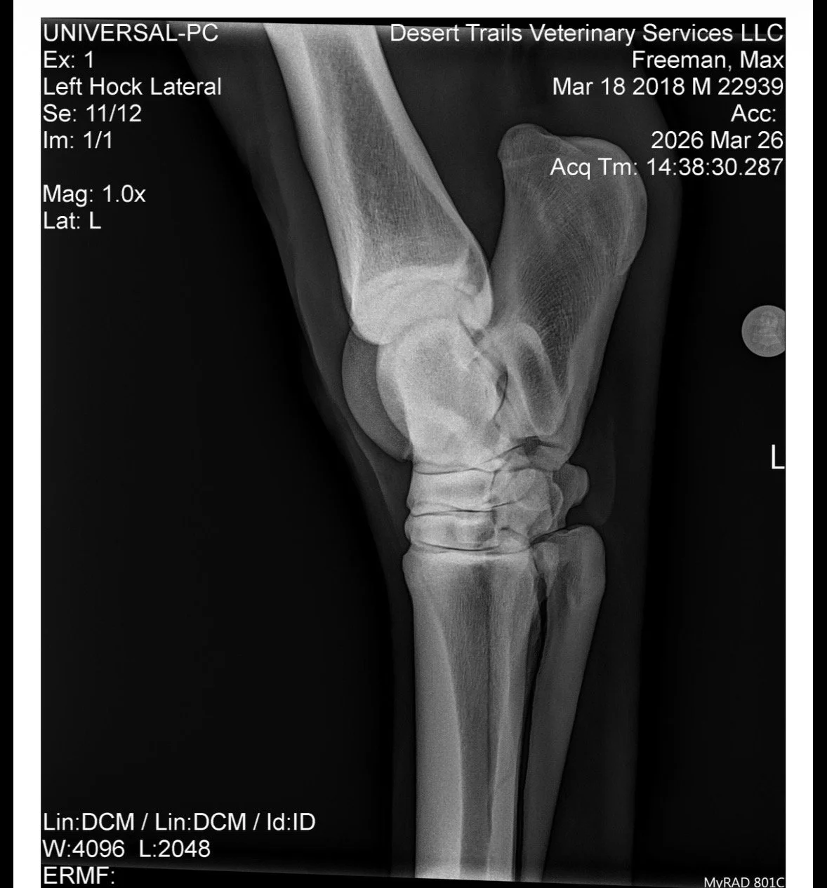 IMG_6154 Quincie Freeman.jpeg