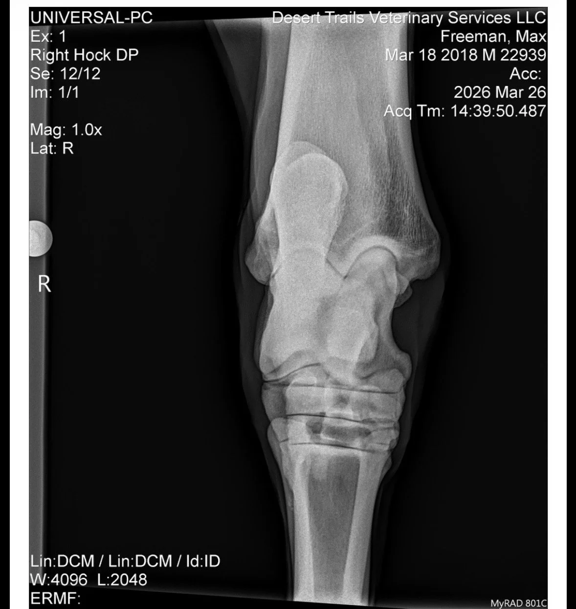 IMG_6155 Quincie Freeman.jpeg