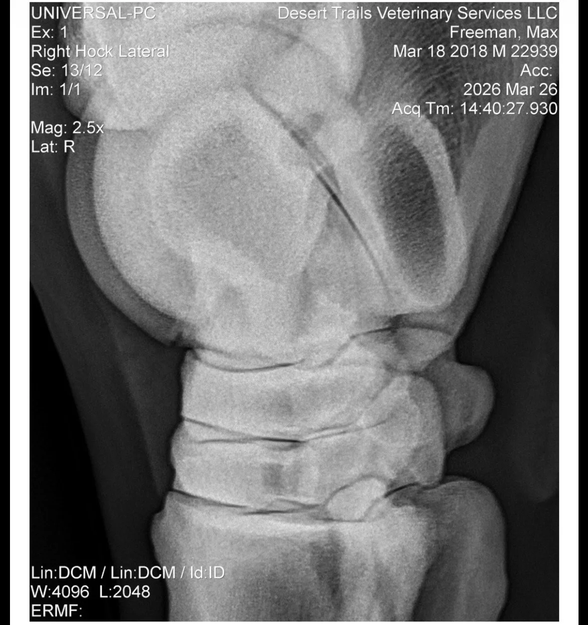 IMG_6156 Quincie Freeman.jpeg