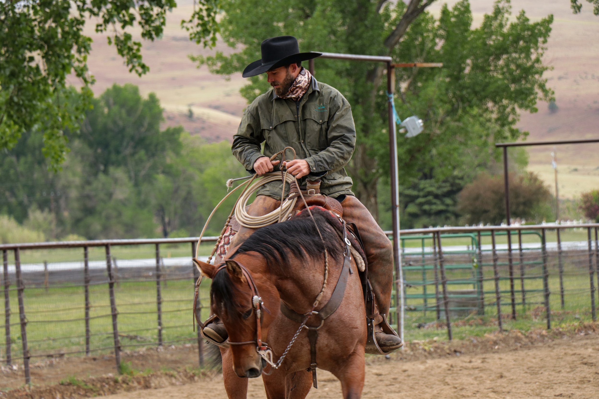 Ranchers Horse Sale