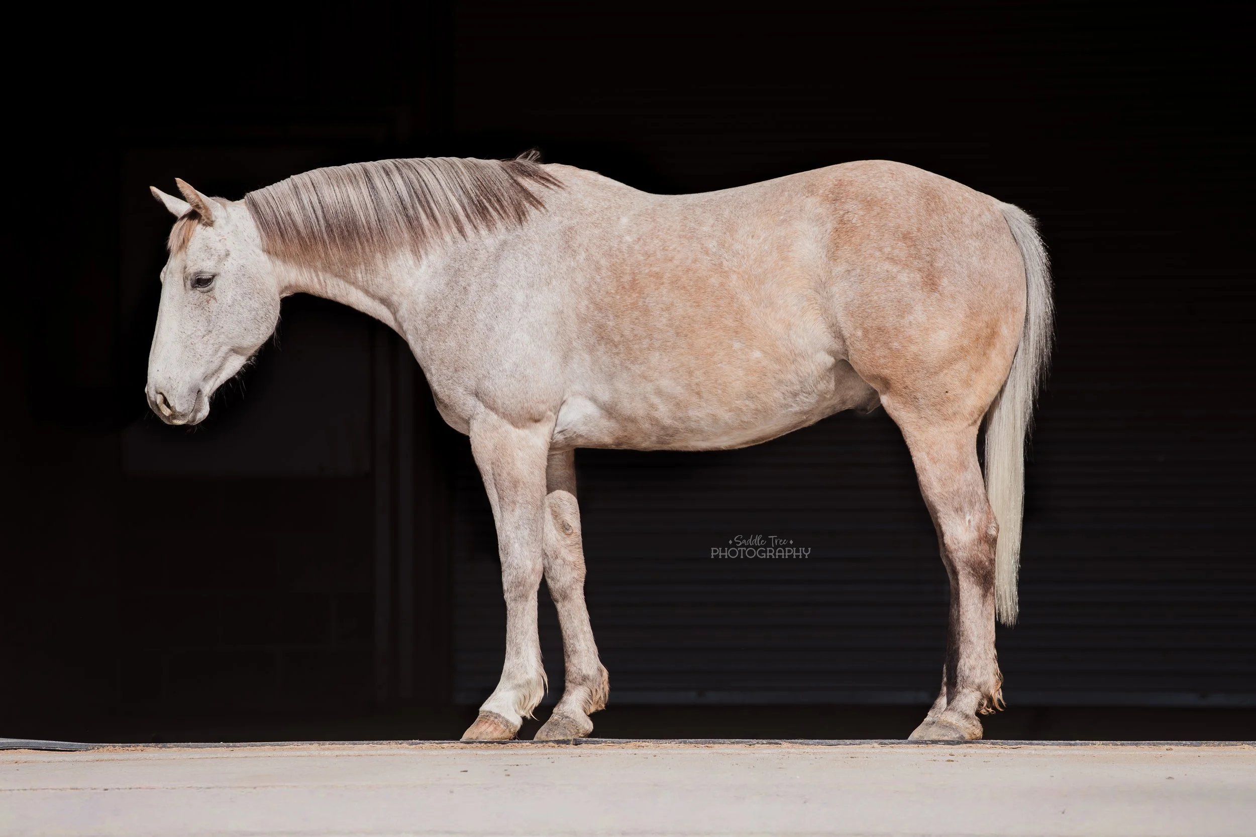 LOT 17 PISTOLS JET SMOOTH {ROSCOE}