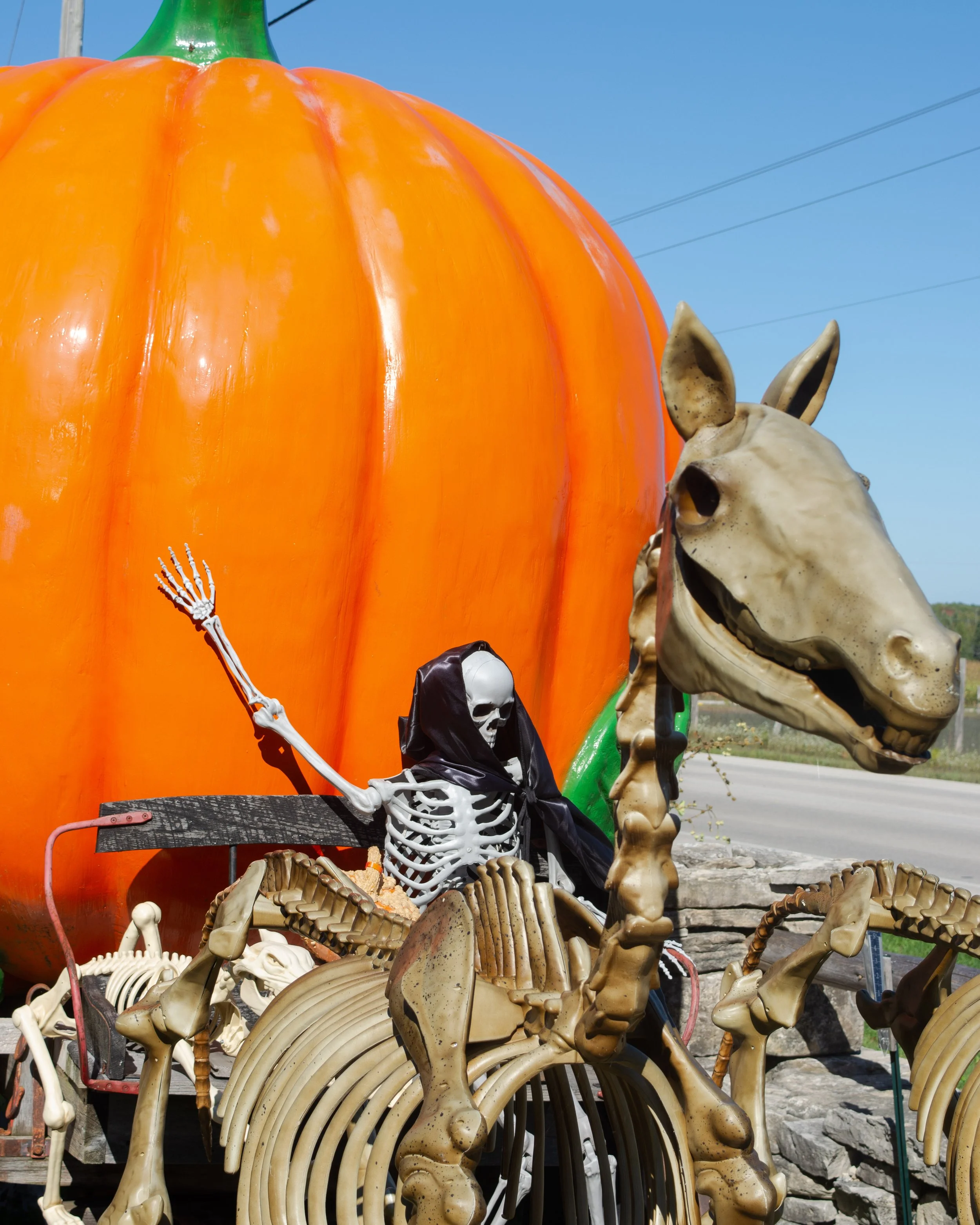 Pumkin-rider-FW.jpg