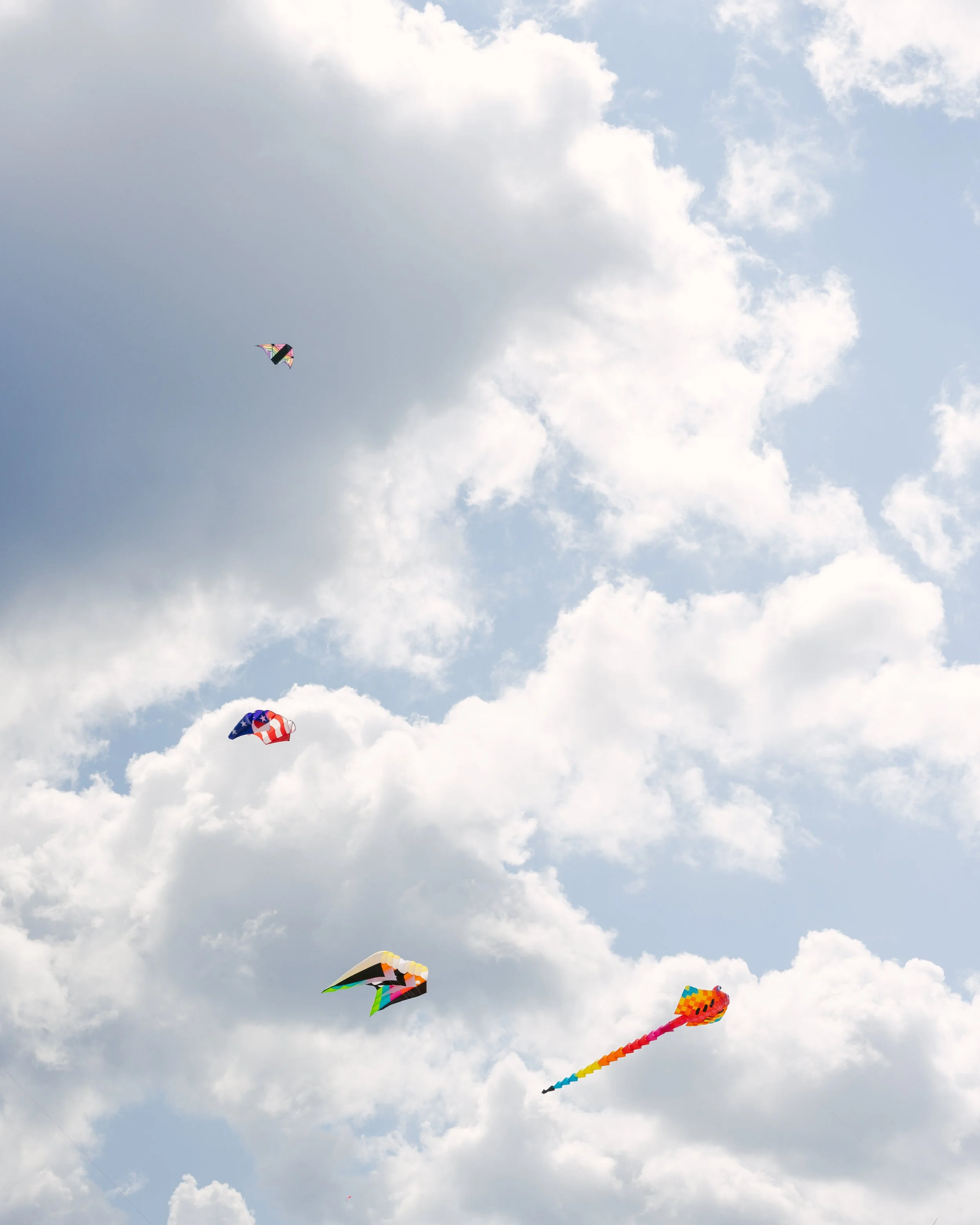 kites2-sky-fw.jpg