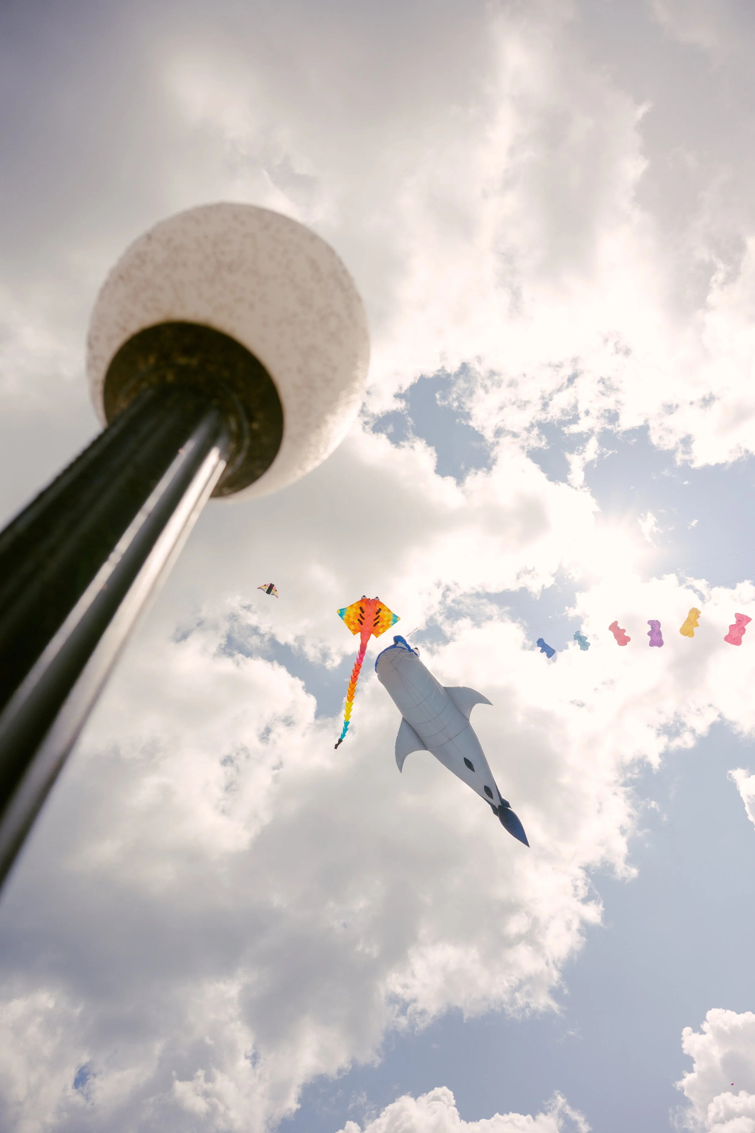 lightpole-kites-FW.jpg