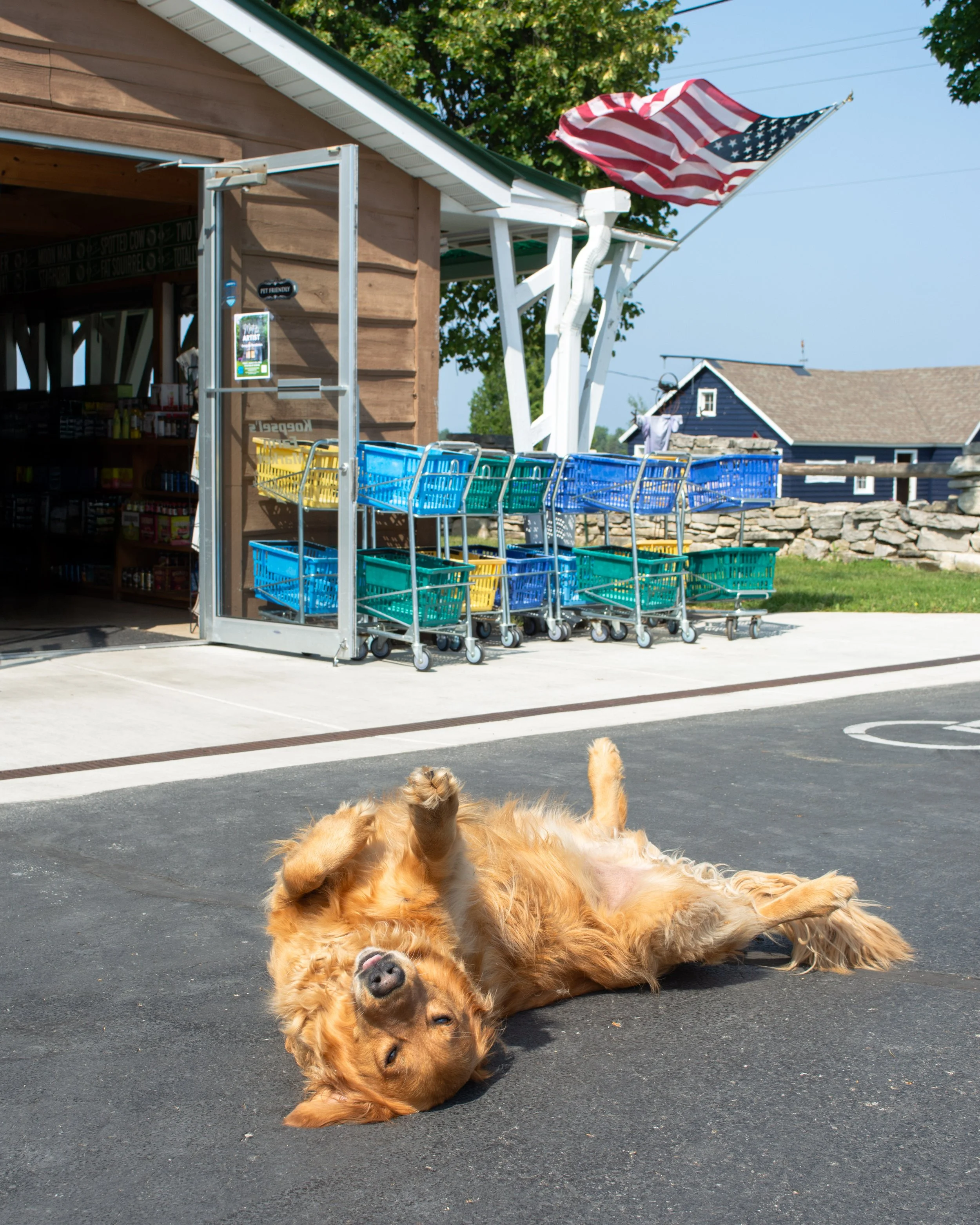 Acher-pets-6-FW.jpg