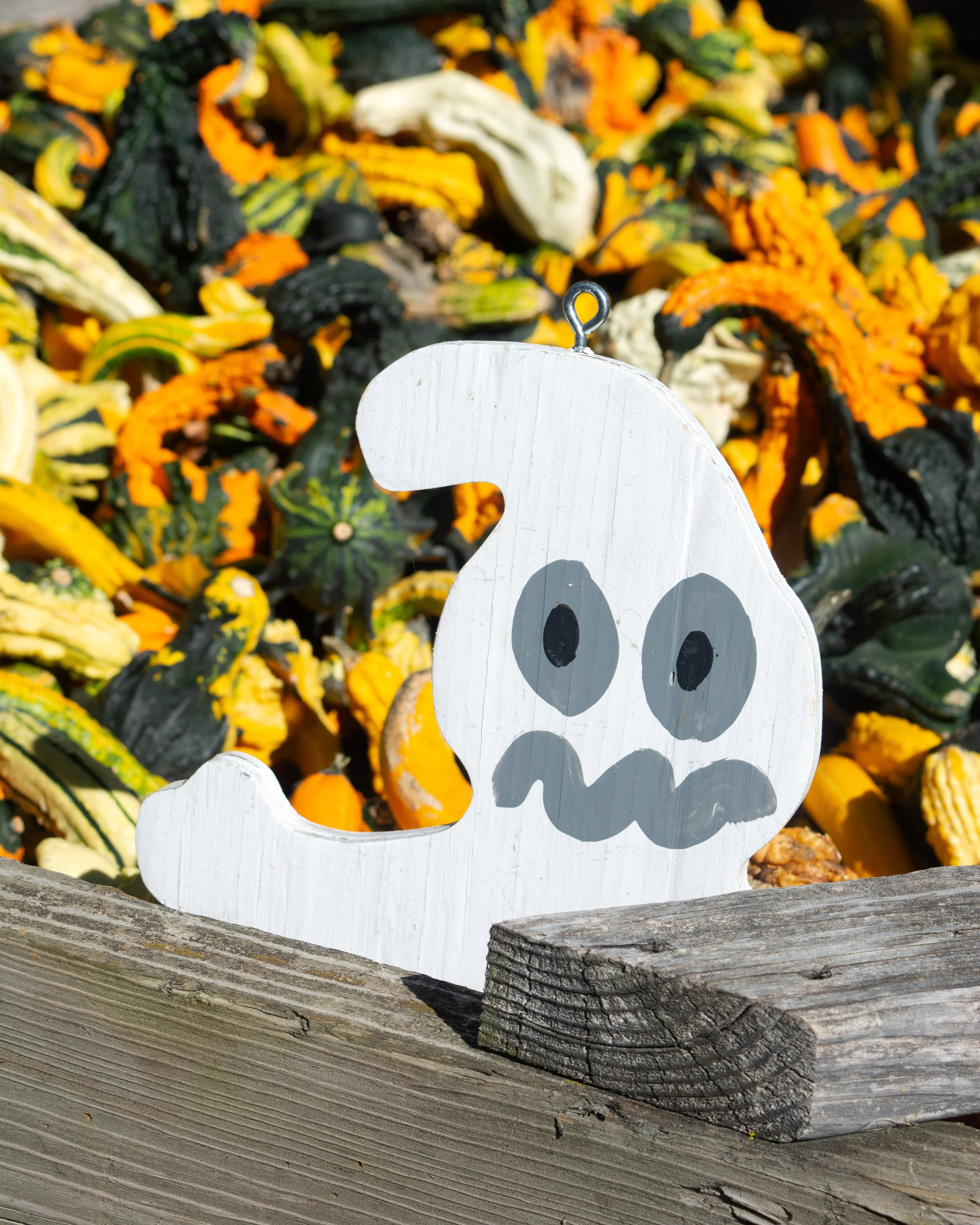 Halloween-ghost-FW.jpg