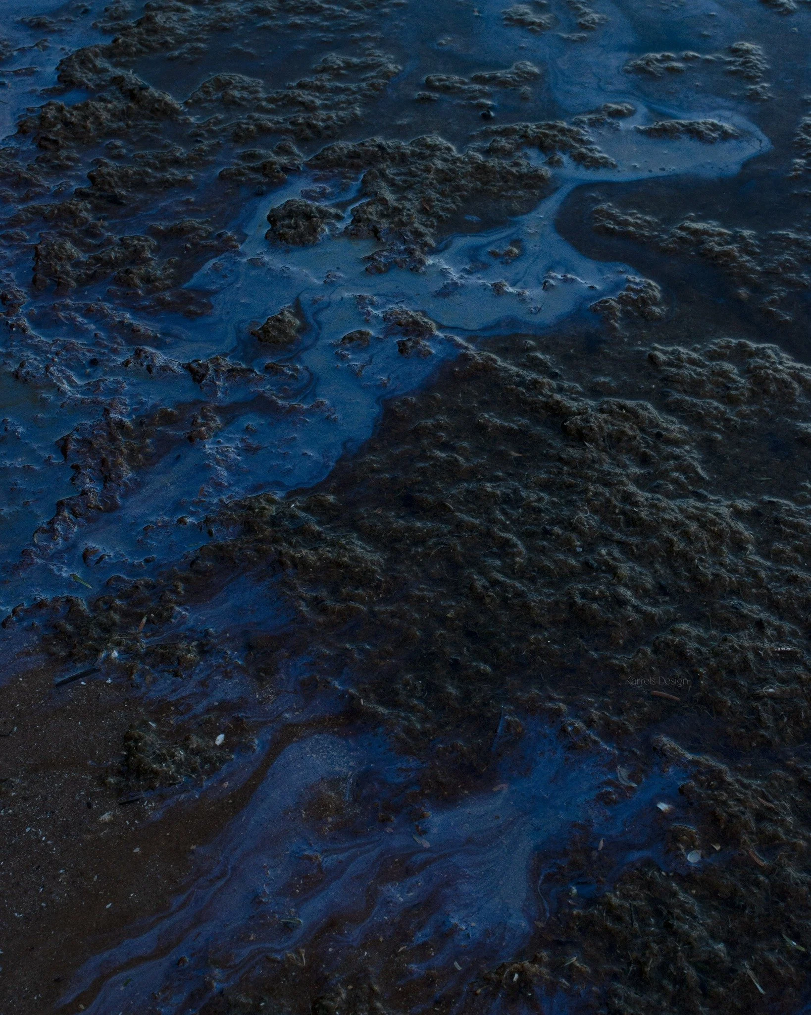 Good enough to drink
Newport State Park 
2025