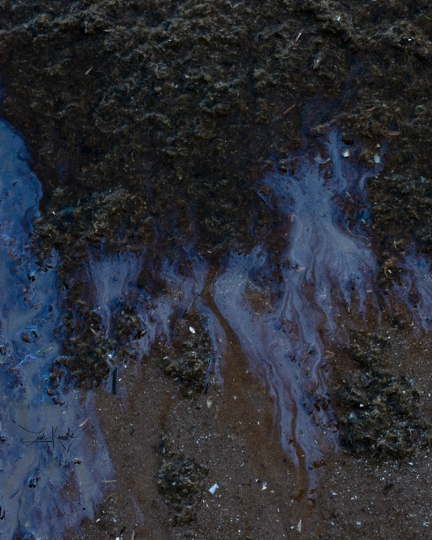 Watercolor Water
Newport State Park, Wisconsin 
2025